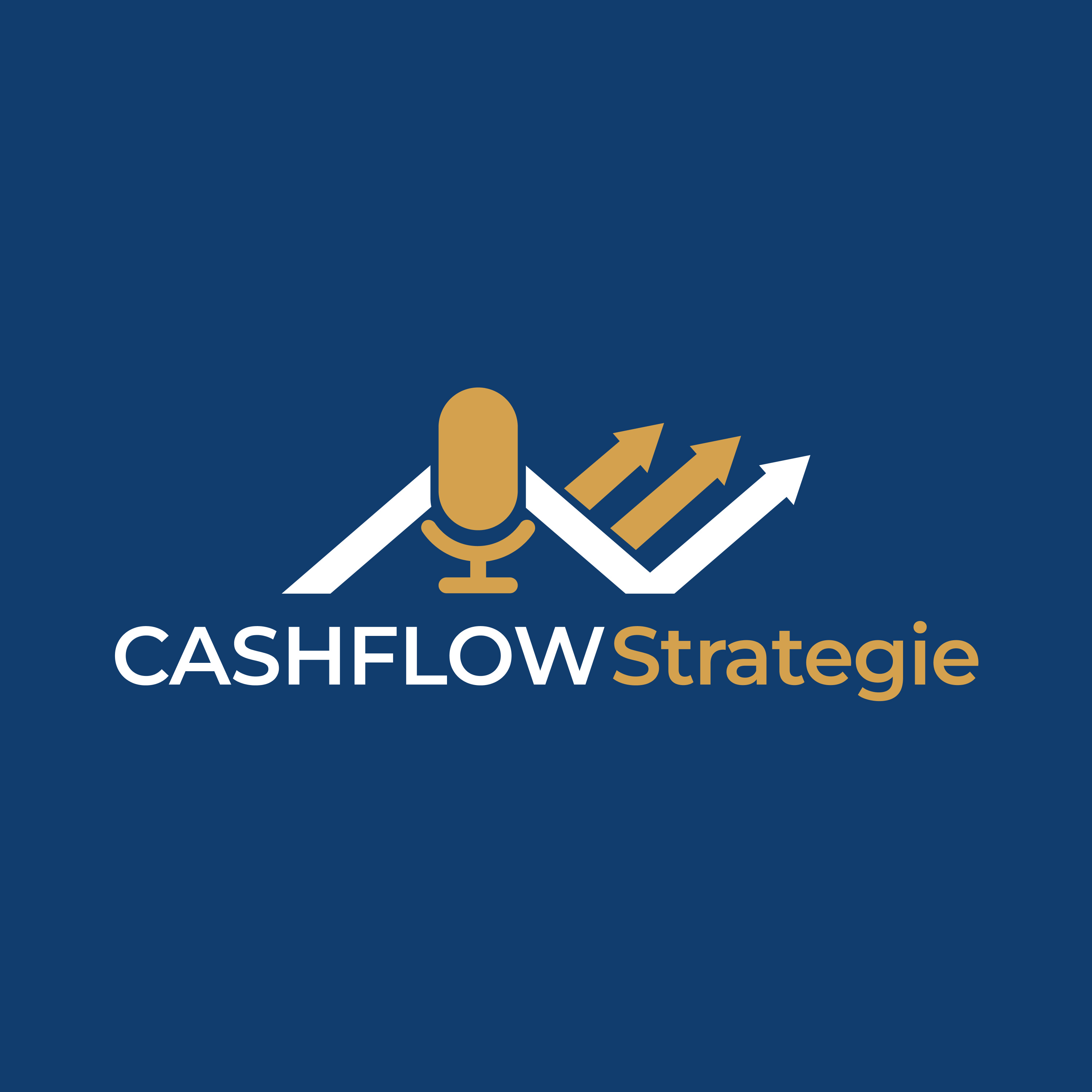 CashflowStrategie