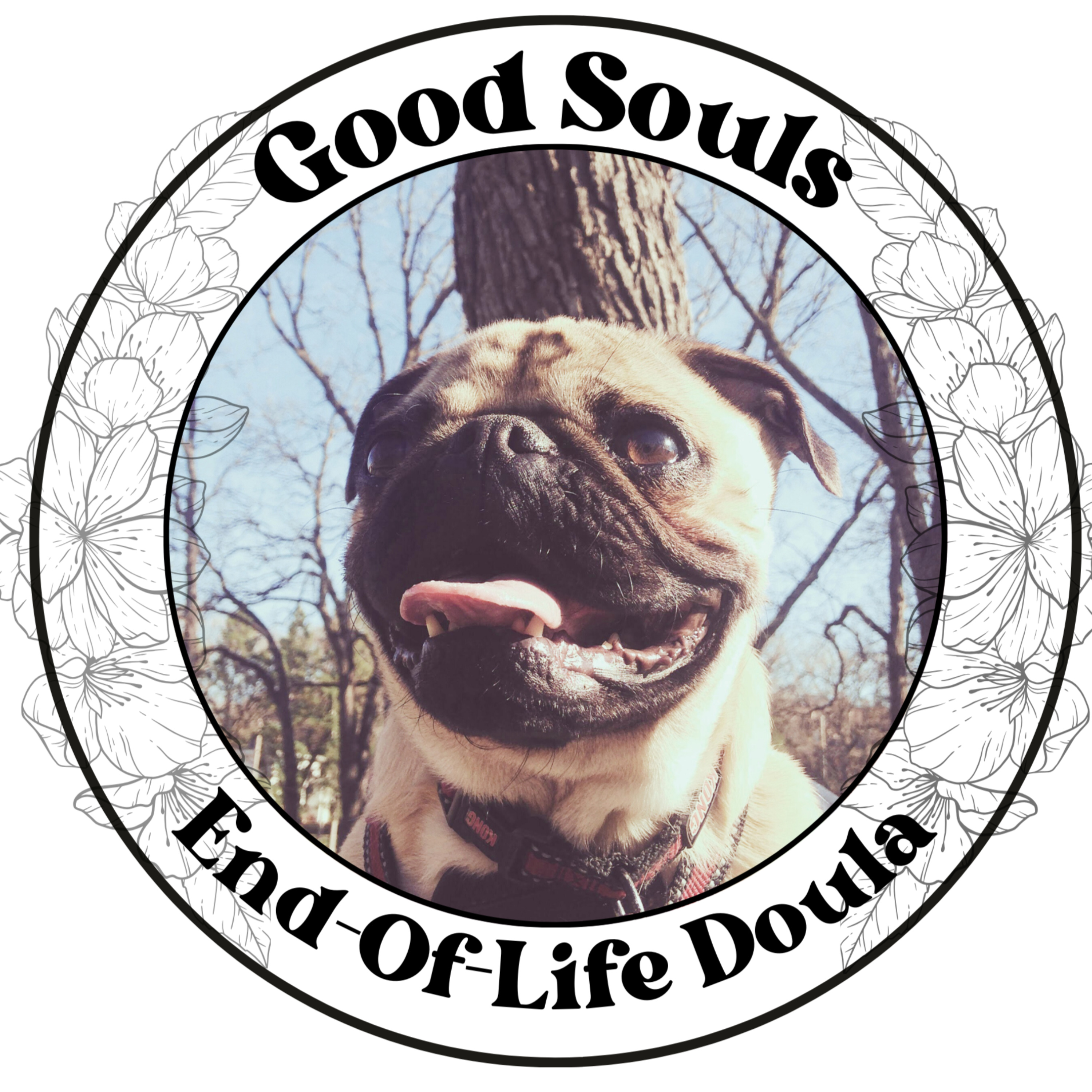 A Pet Death Doula Reads