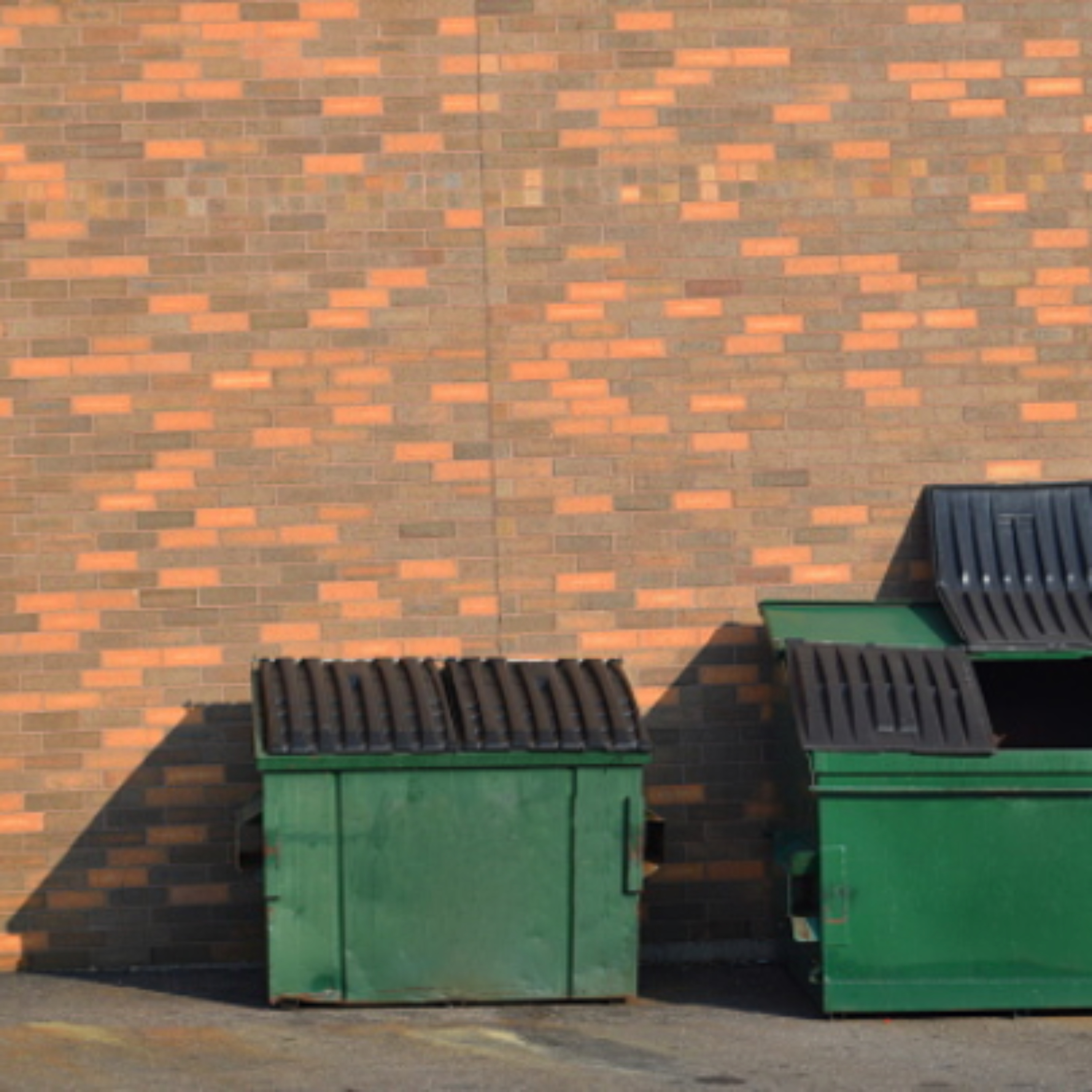 Behind The Dumpster