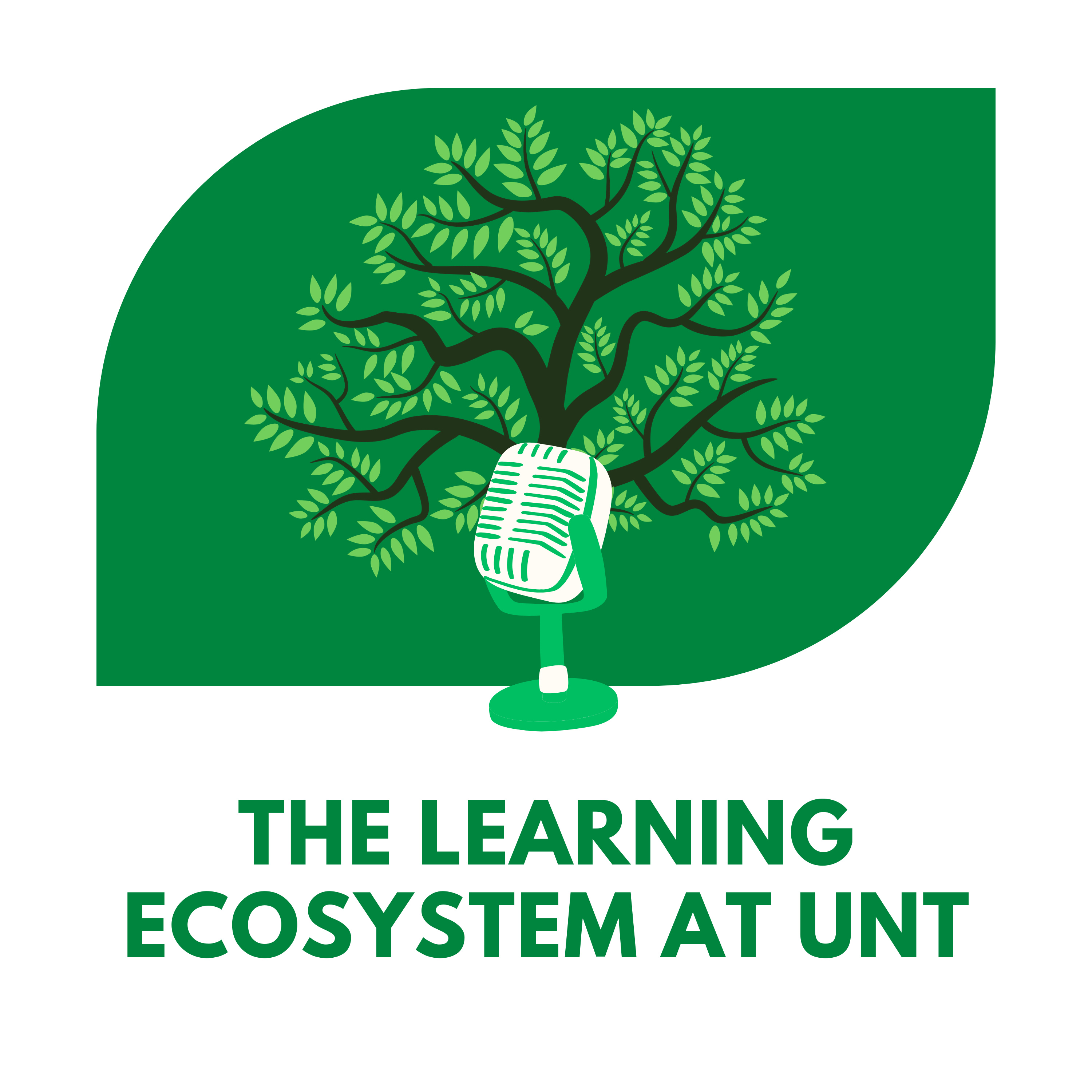 The Learning Ecosystem at UNT