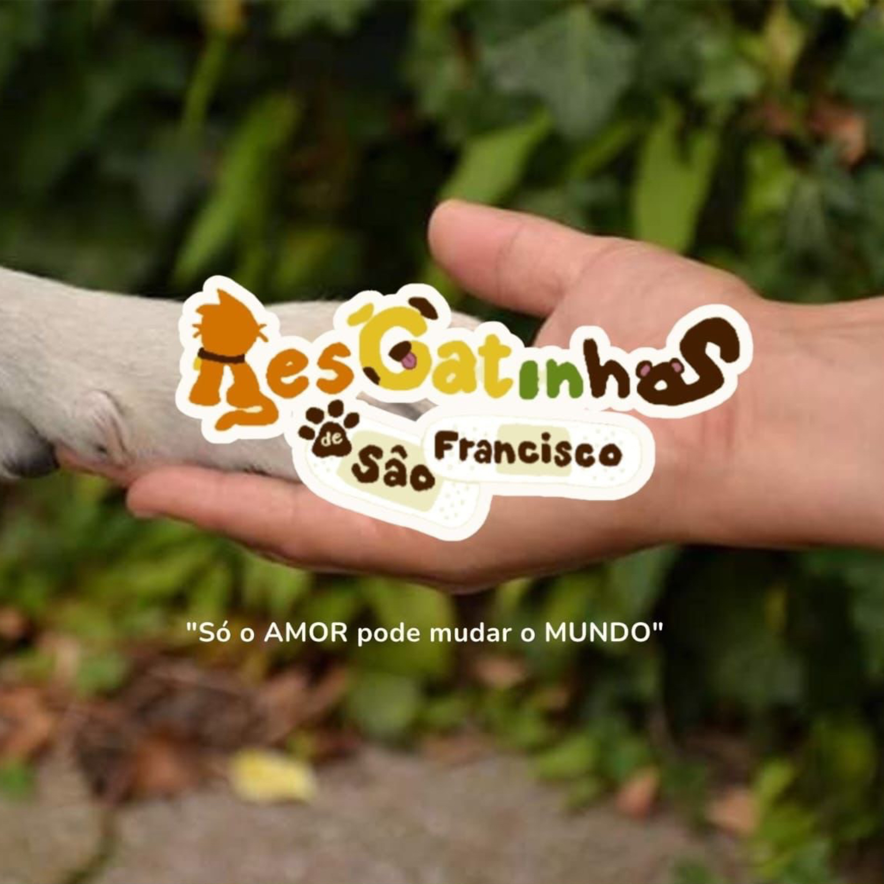 ResGatinhos de São Francisco podcast artwork