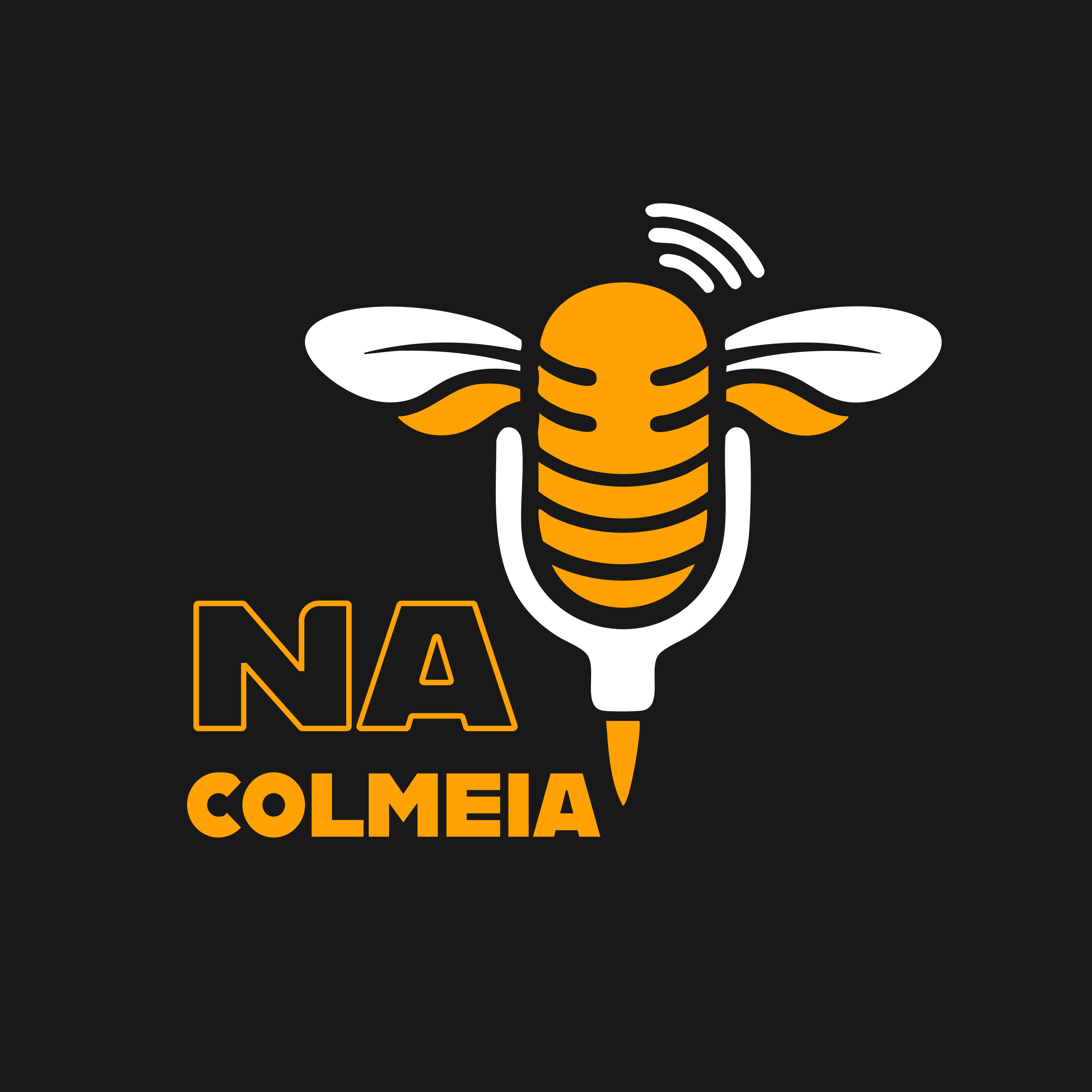 Na Colmeia