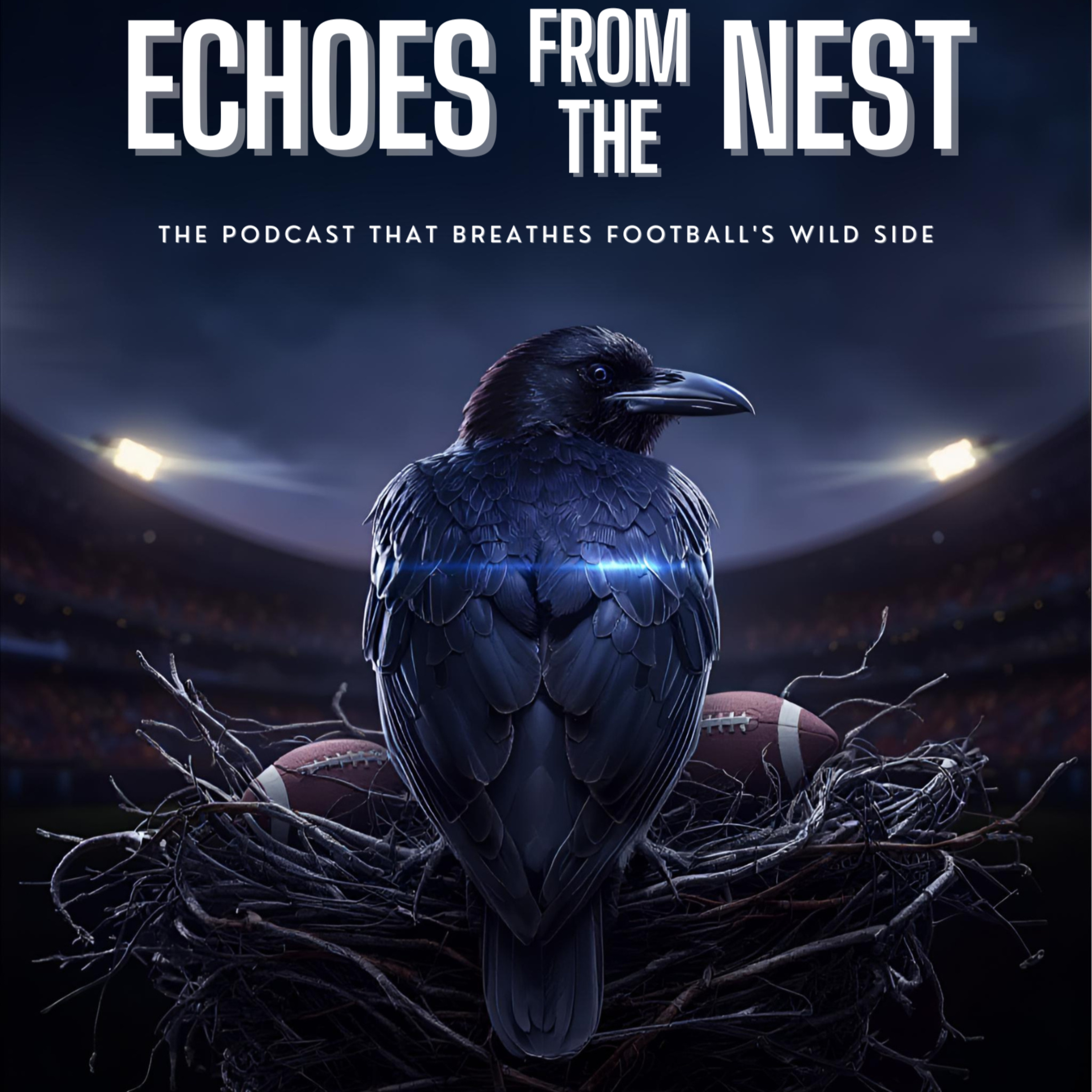 Echoes From The Nest