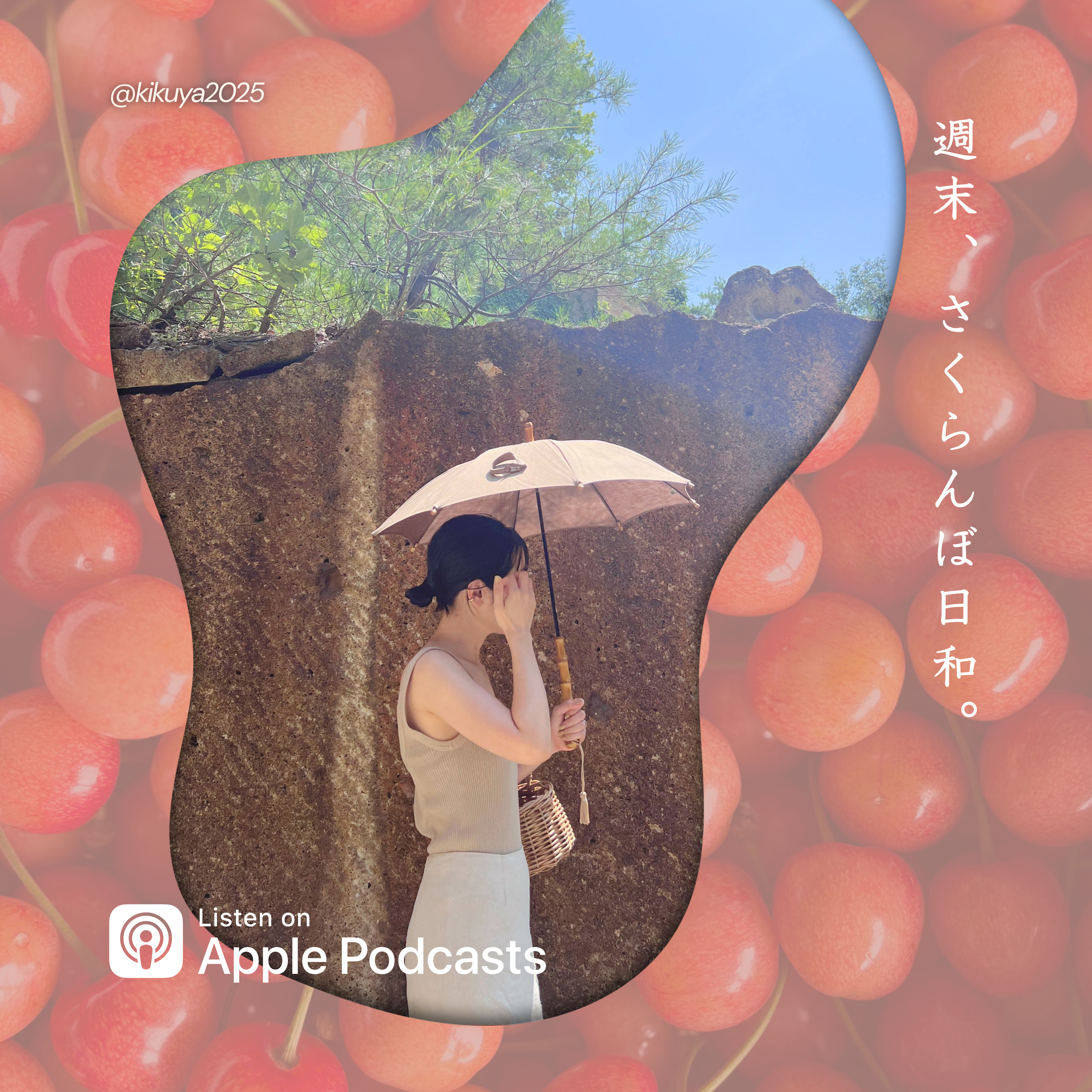 週末、さくらんぼ日和。