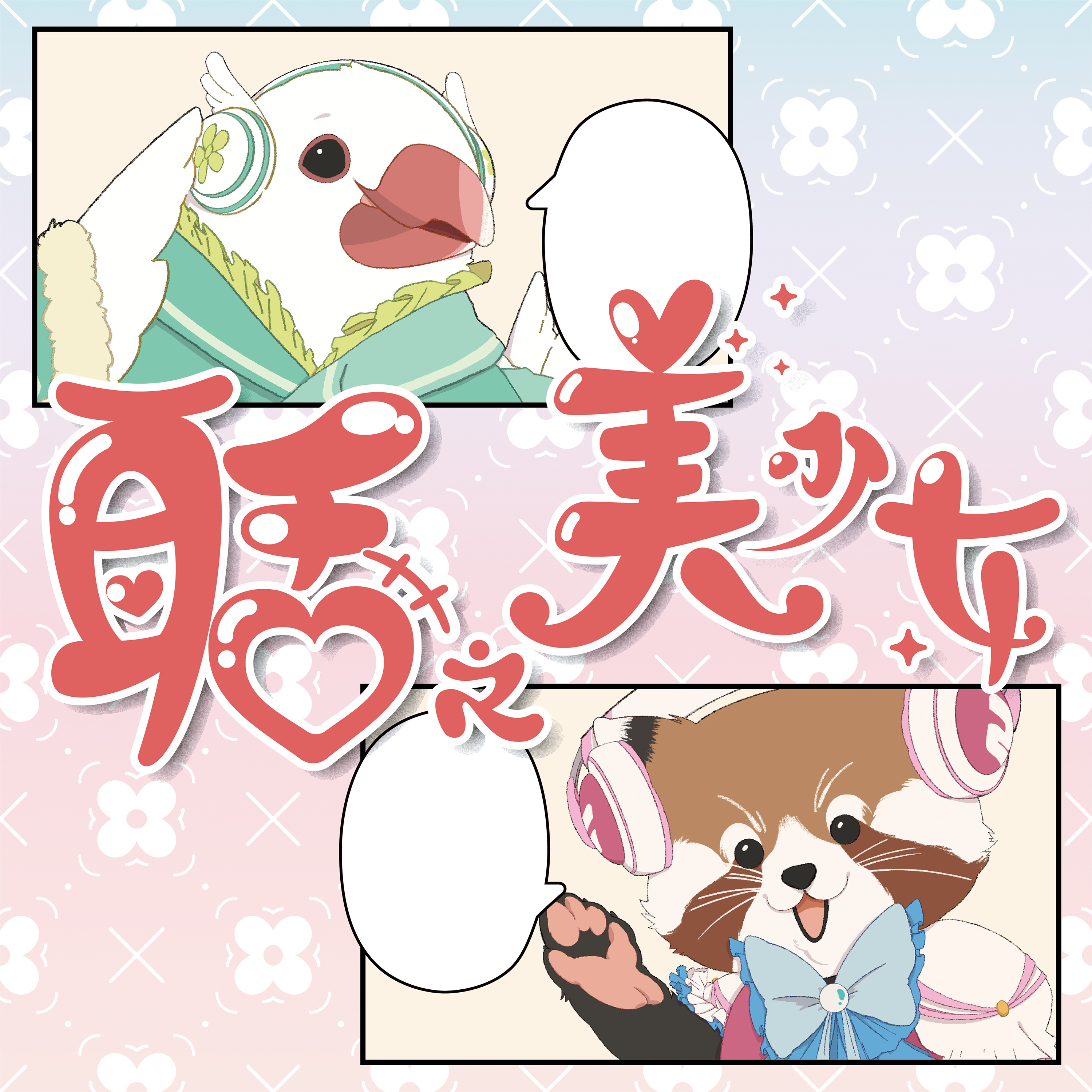 聒之美少女