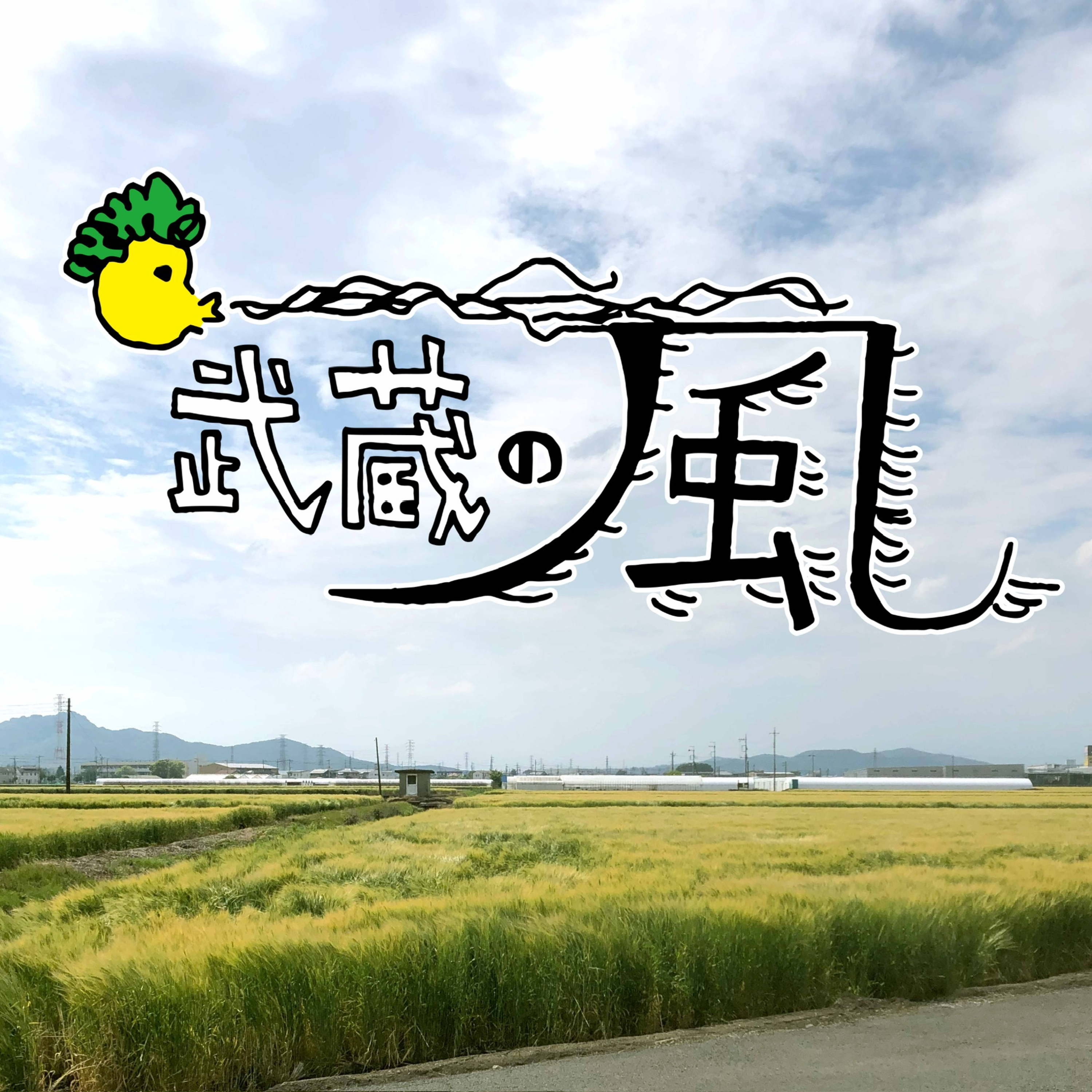 武蔵の風