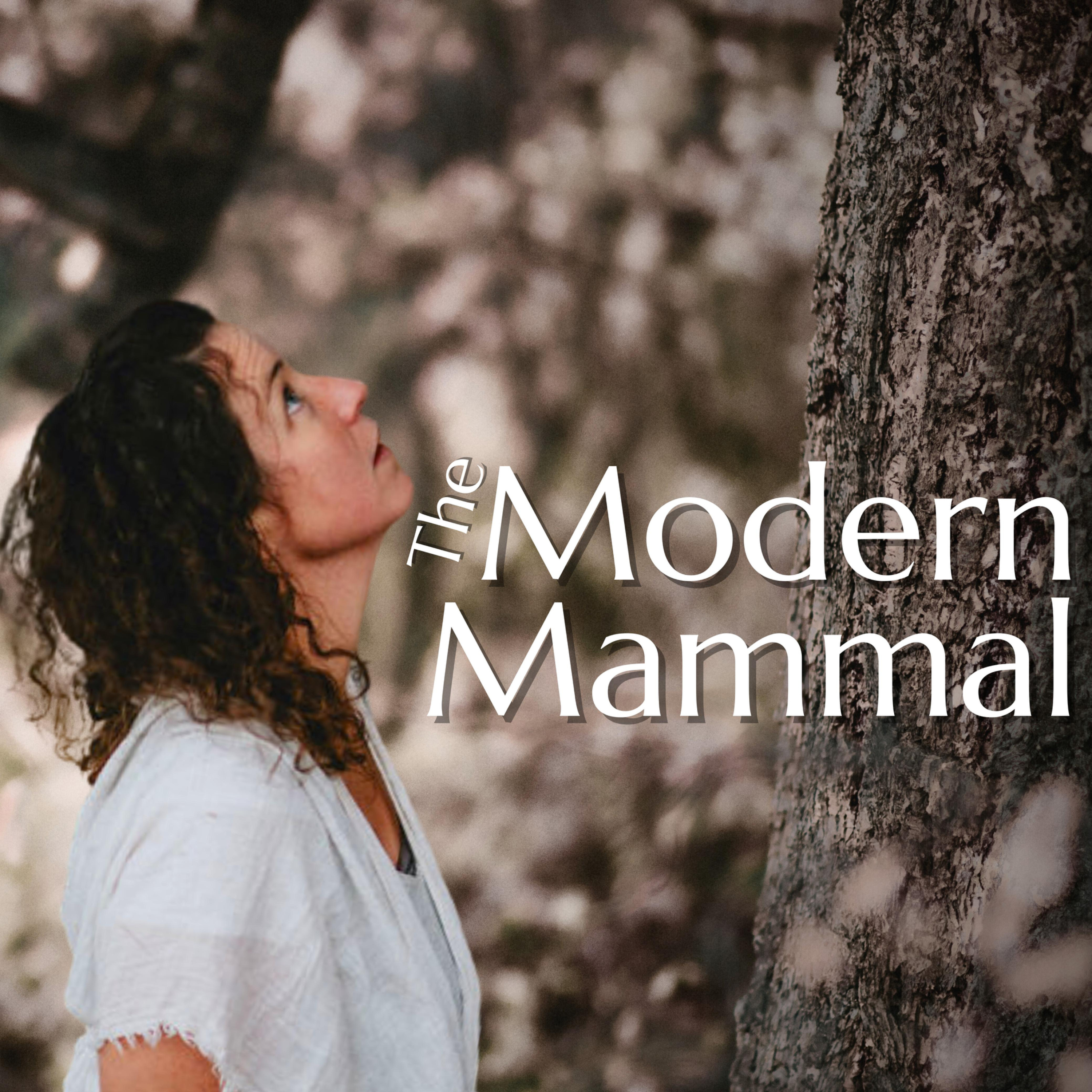 The Modern Mammal