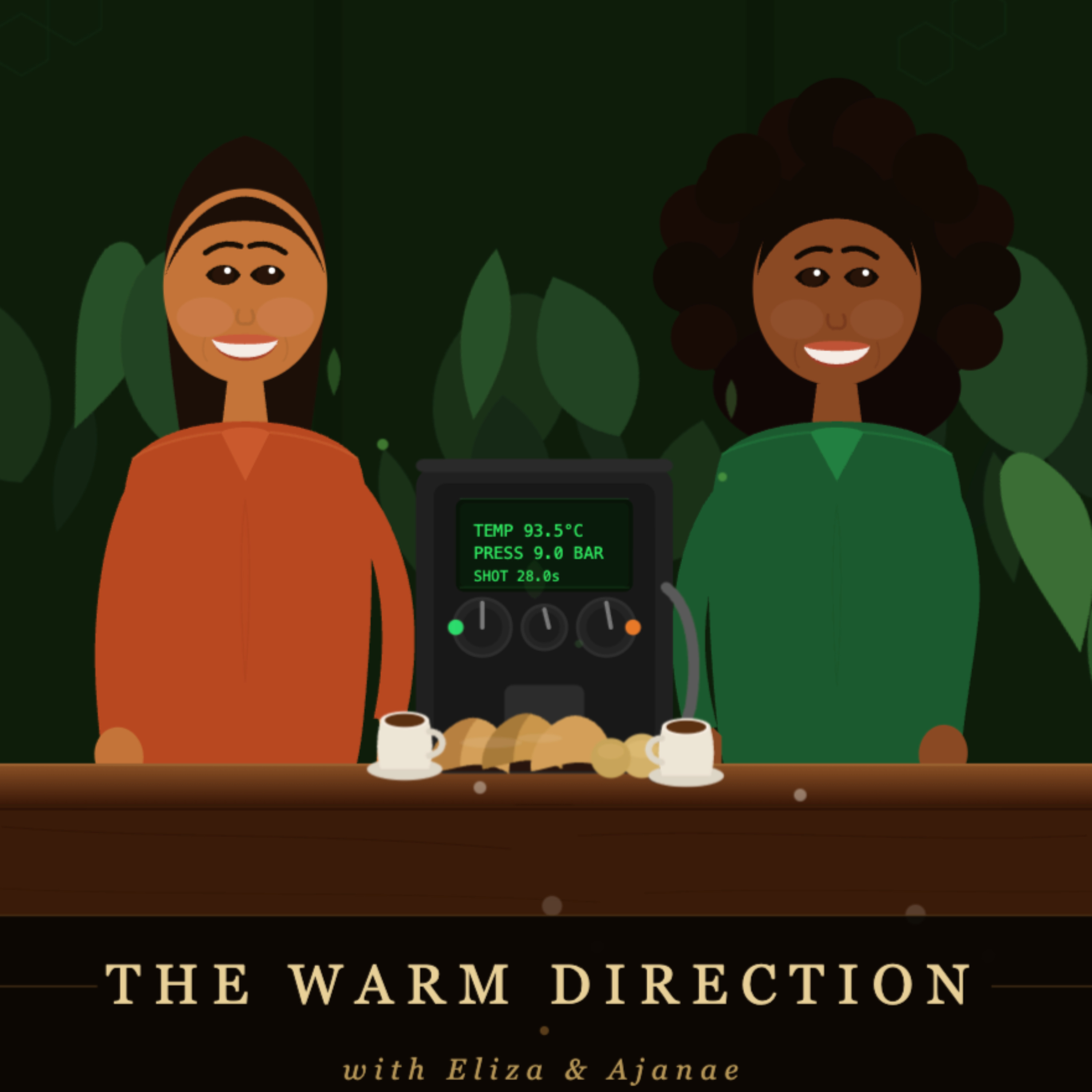 The Warm Direction Podcast