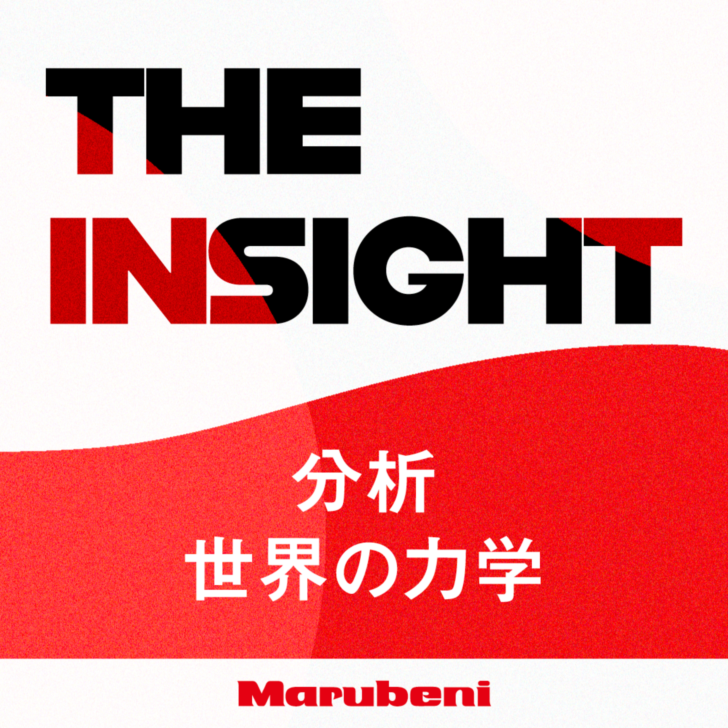 THE INSIGHT ～分析 世界の力学～