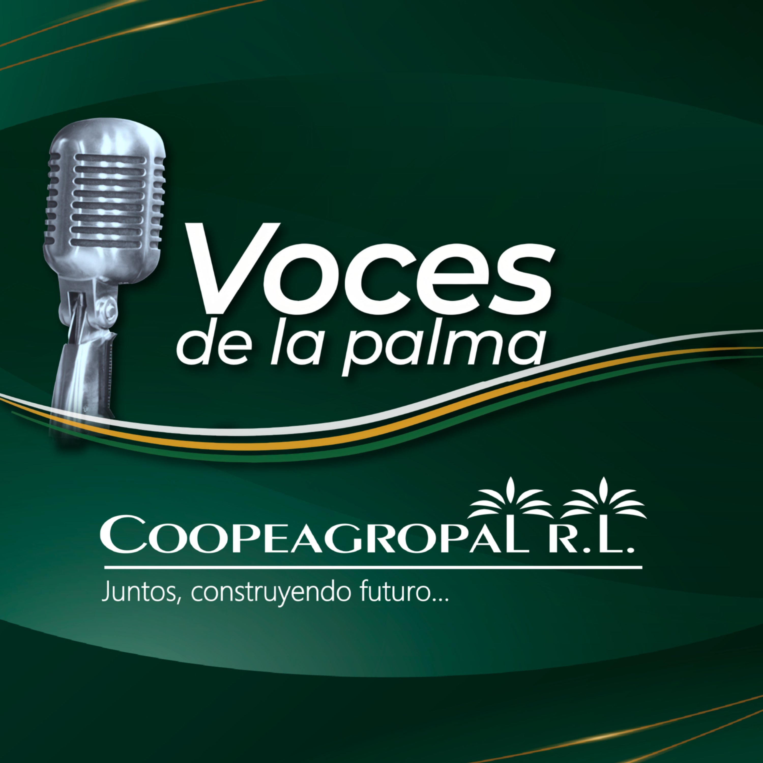 Fenómeno del niño 2026