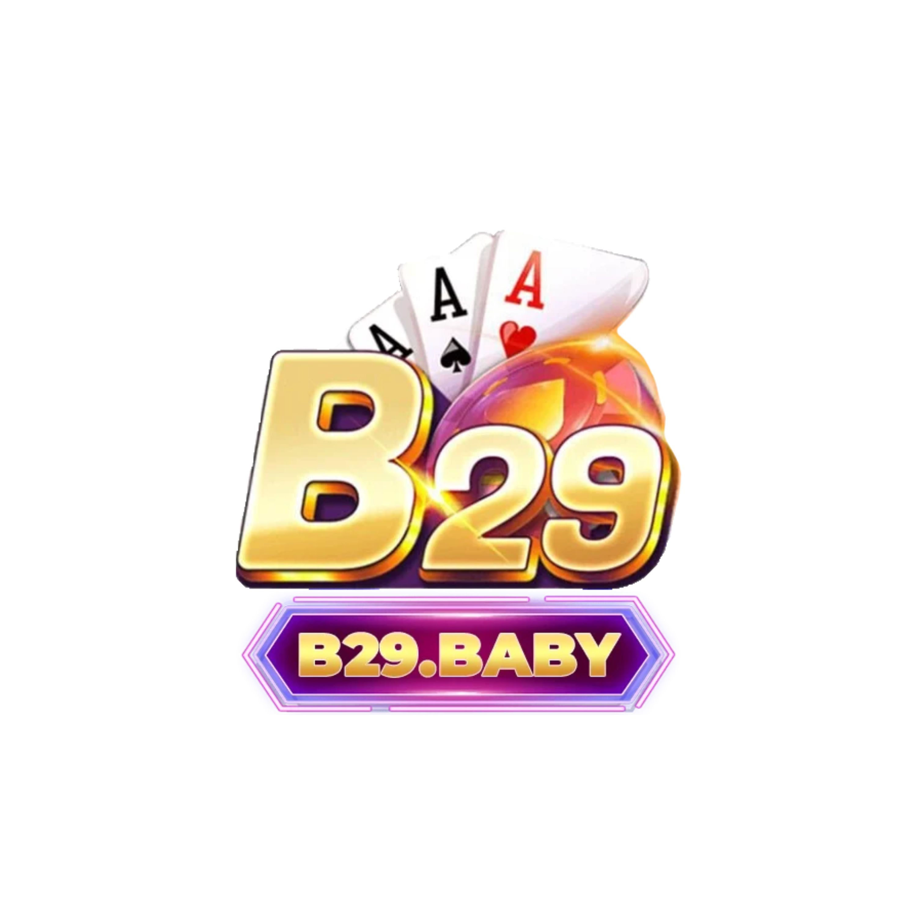 B29