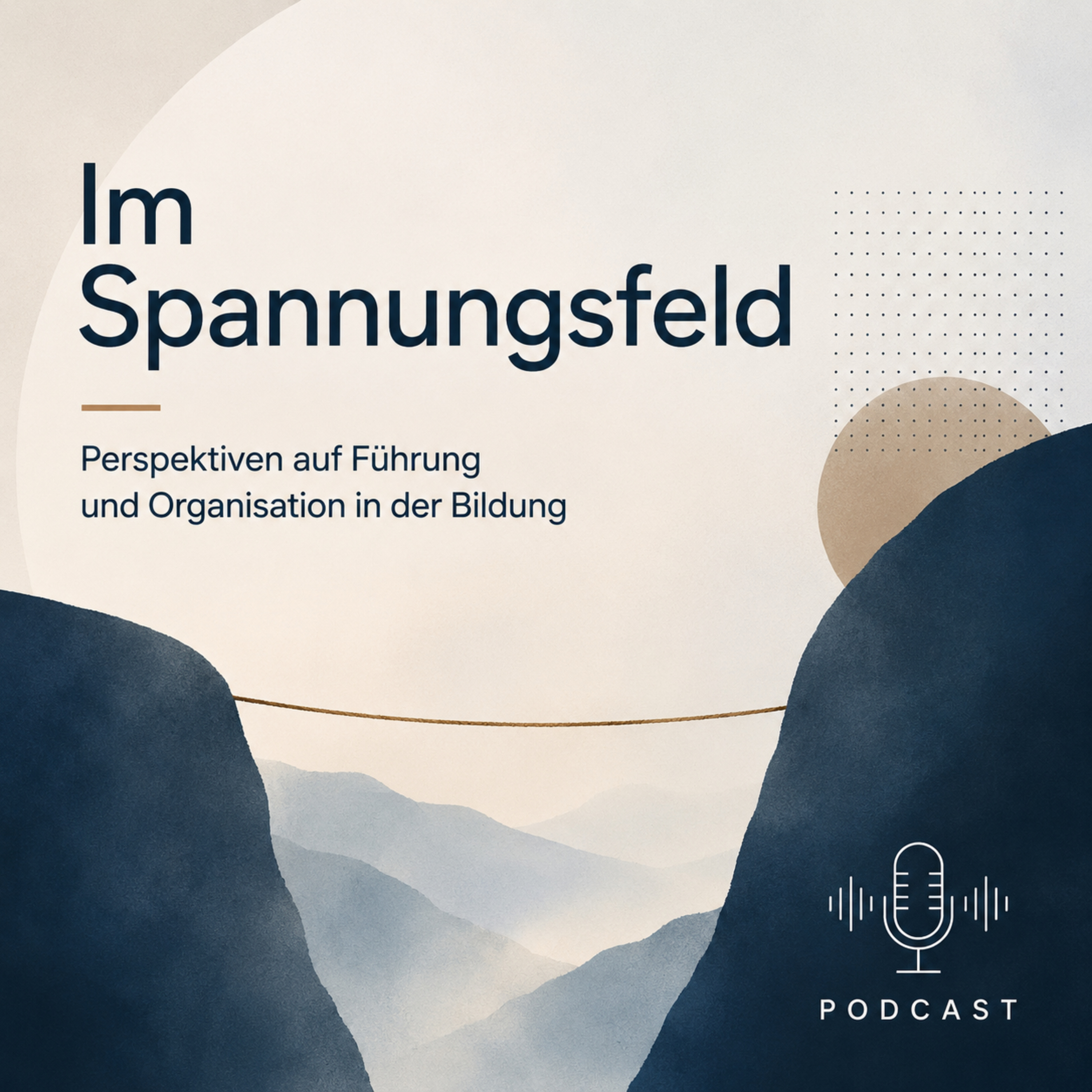 Im Spannungsfeld - Perspektiven auf Führung und Organisation in der Bildung