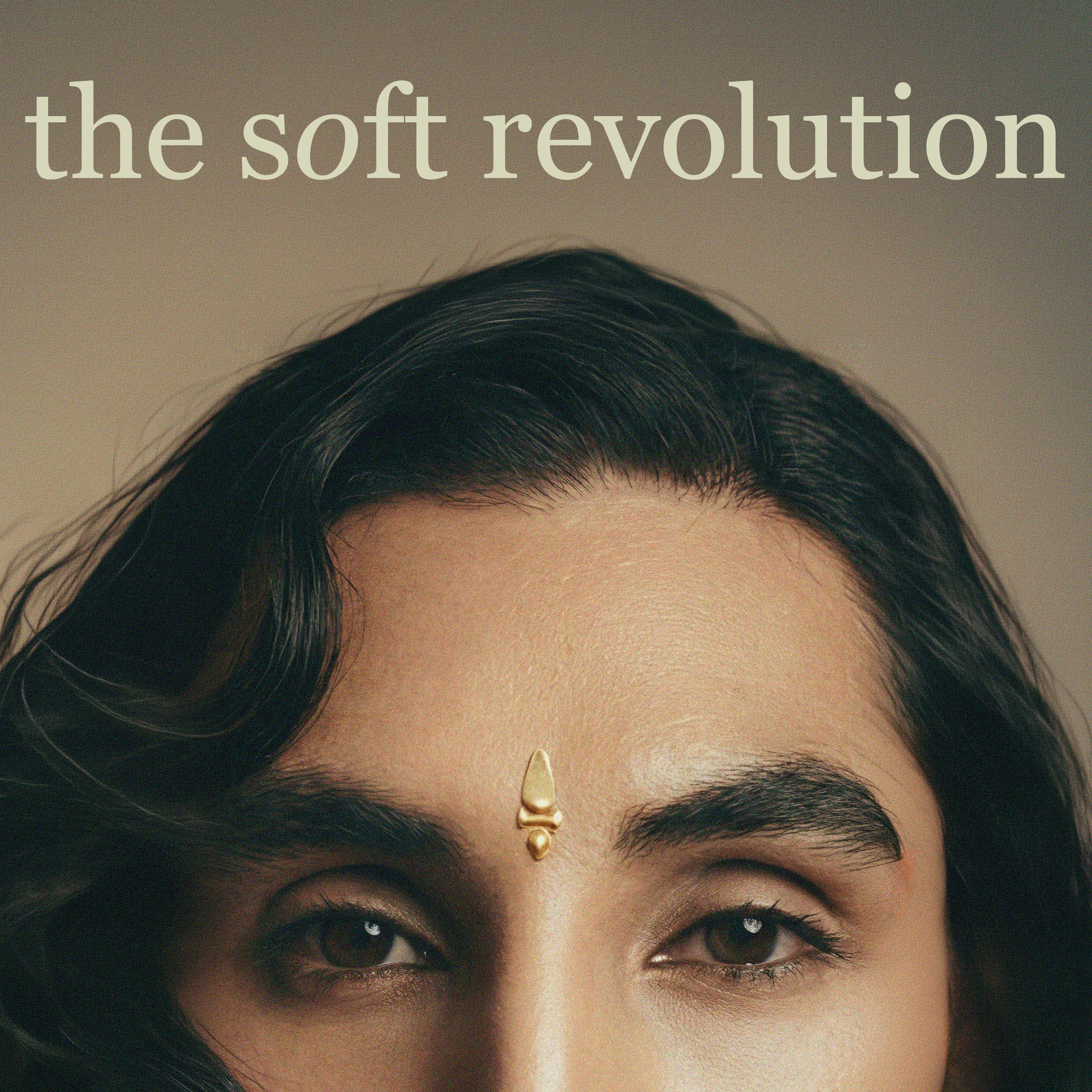 the soft revolution