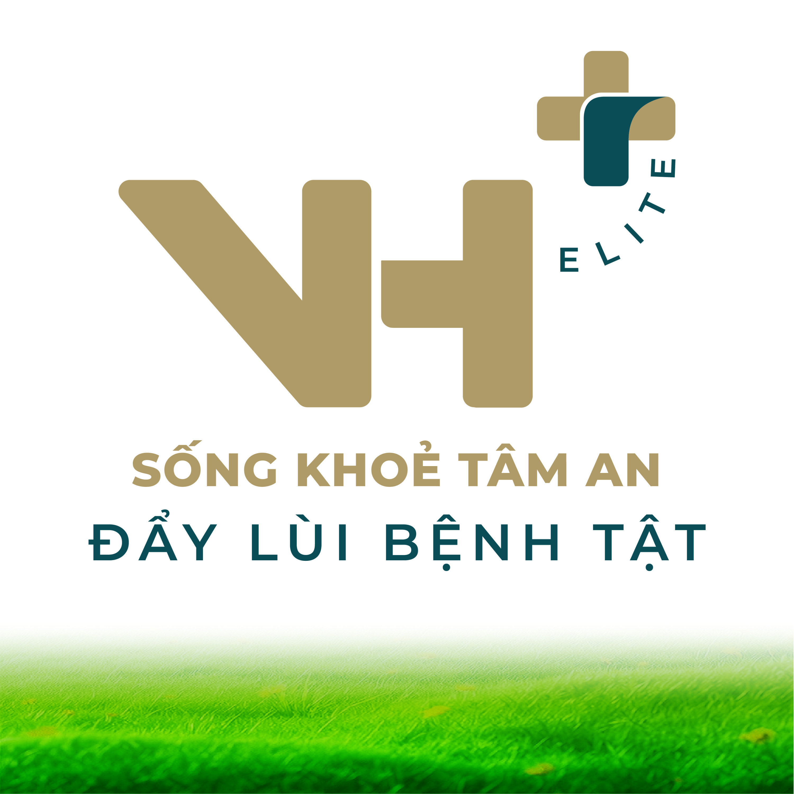 VIETHOPE: Sống Khoẻ - Tâm An - Đẩy Lùi Bệnh Tật