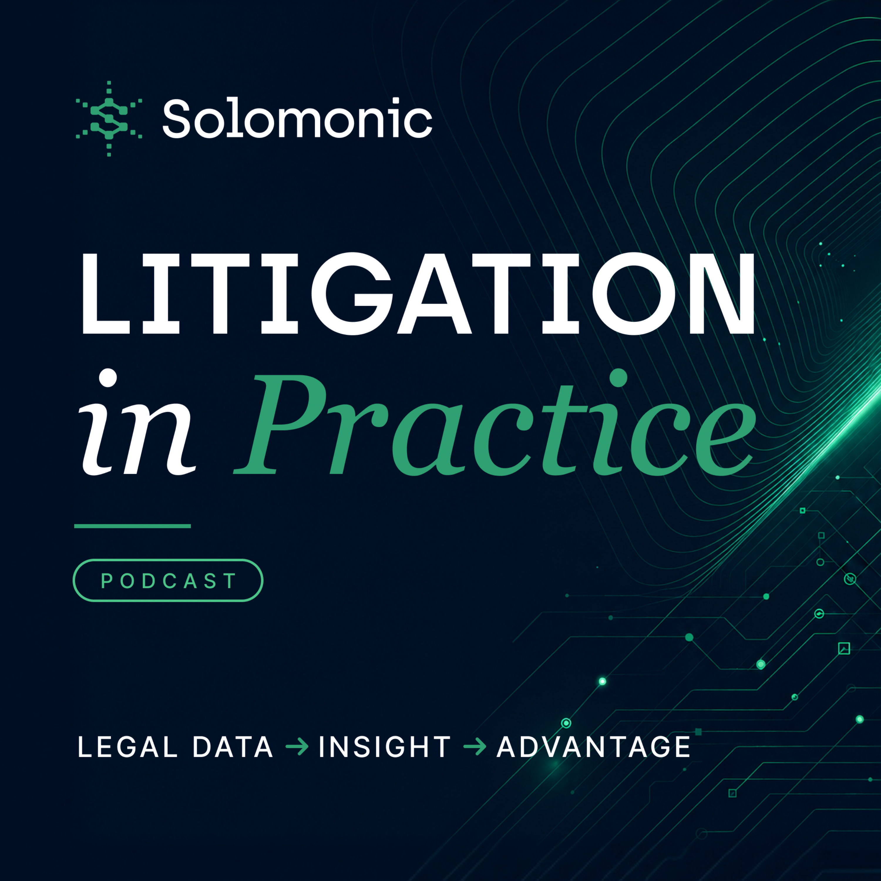 Litigation in Practice