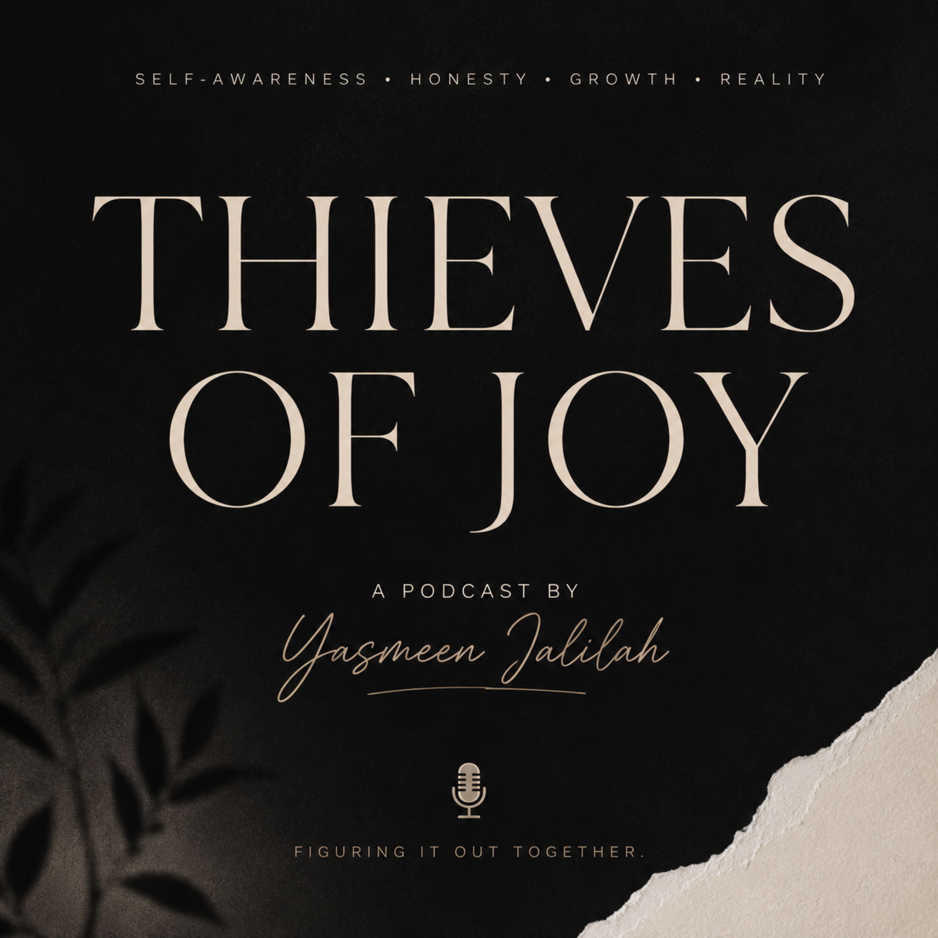 Thieves of Joy