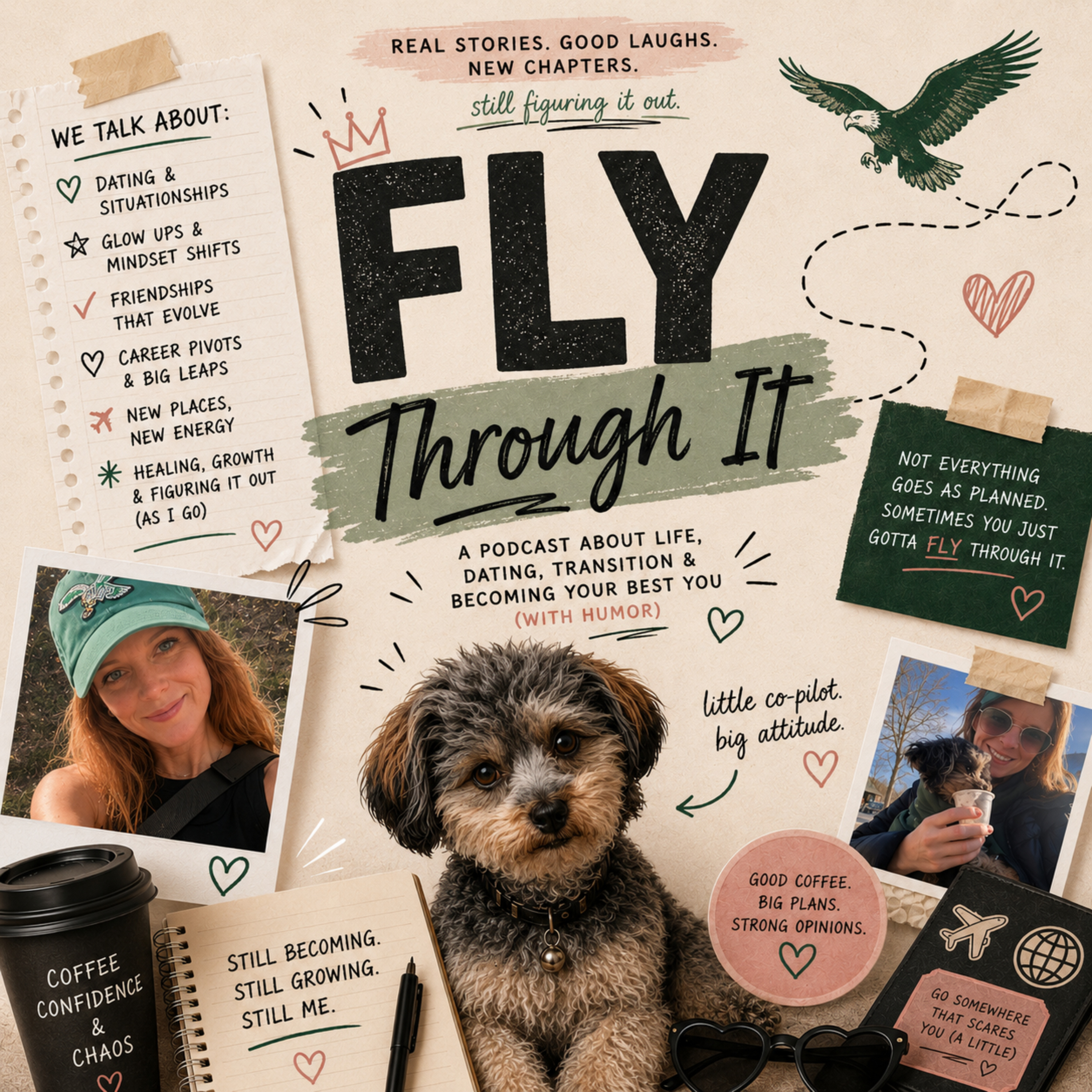 Fly Through It