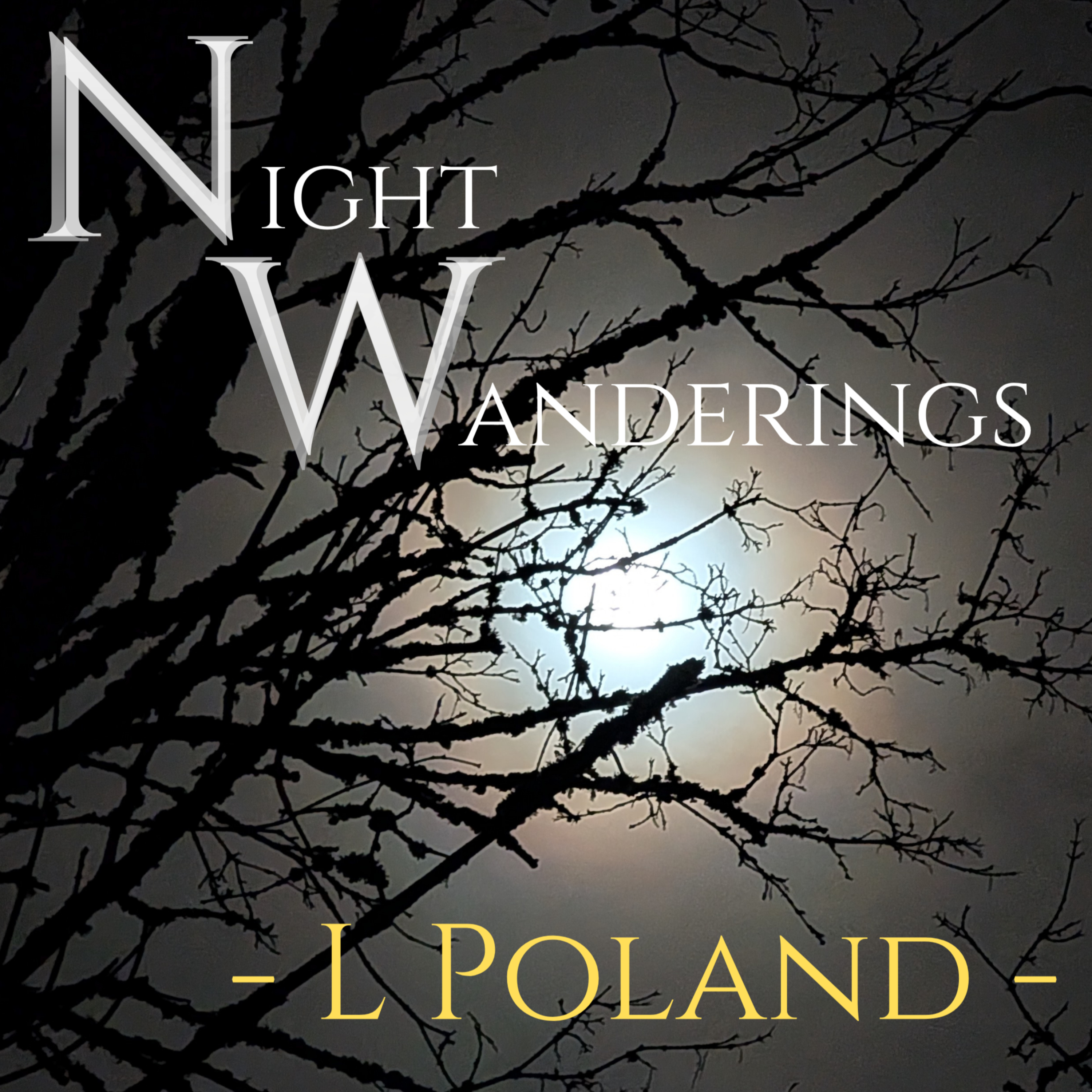 Night Wanderings podcast artwork