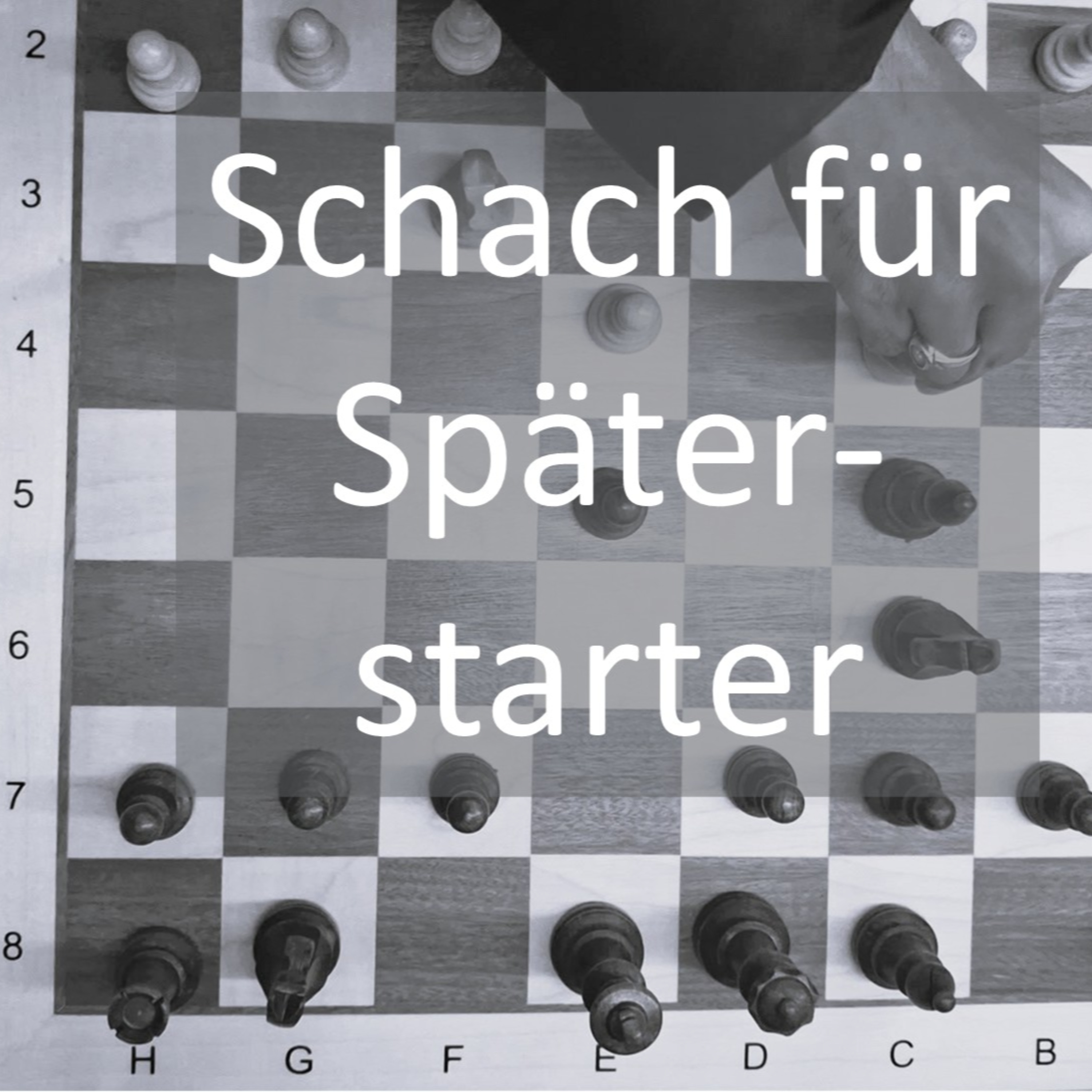 Schach für Späterstarter - Schach entdecken, wenn das Leben schon läuft