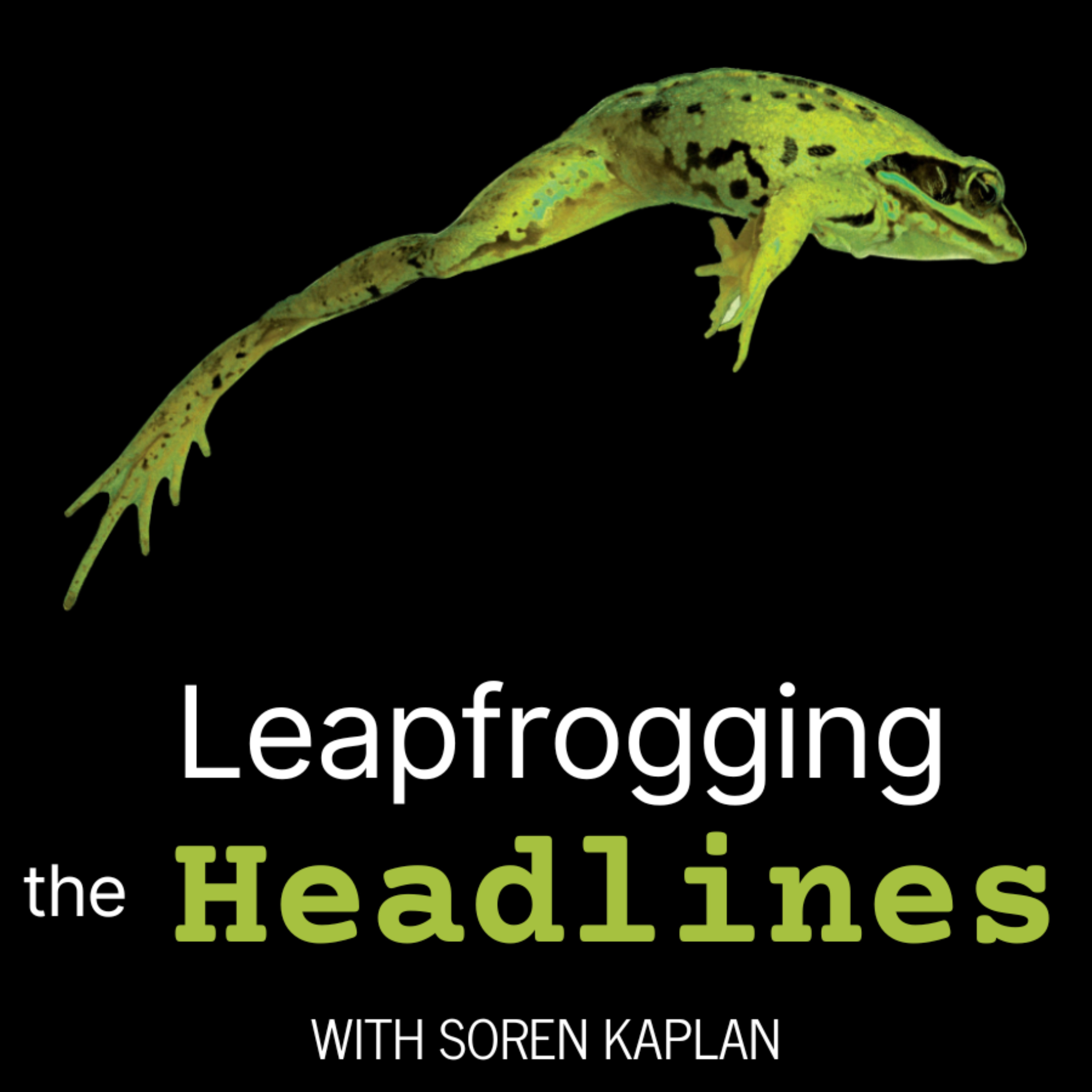 Leapfrogging the Headlines with Soren Kaplan podcast artwork