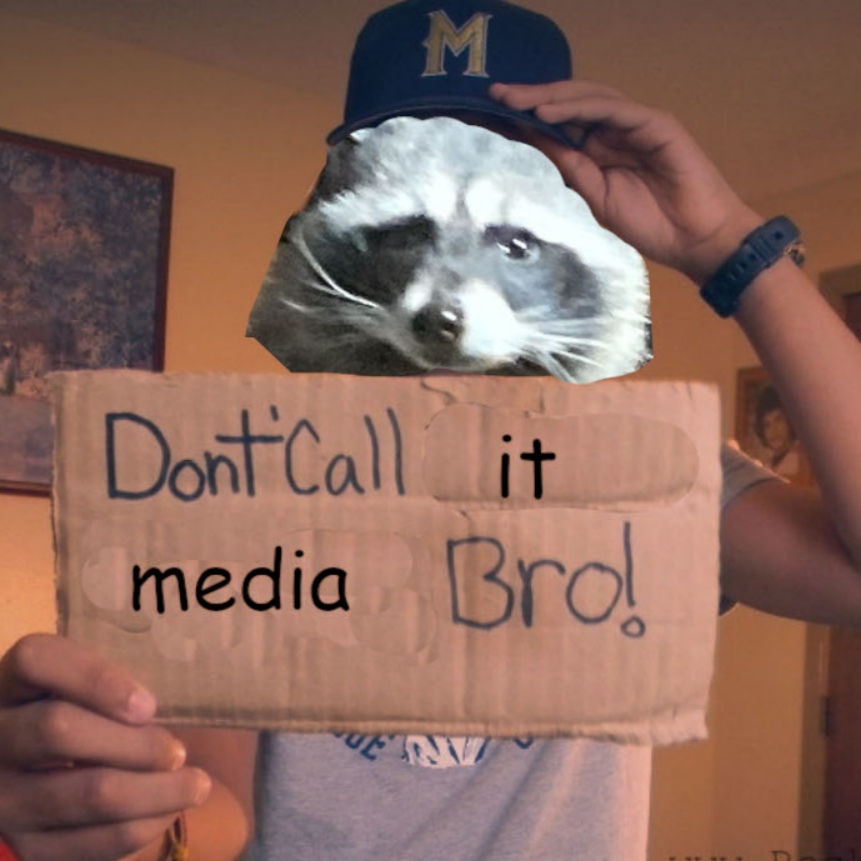 Don't Call It Media Bro!