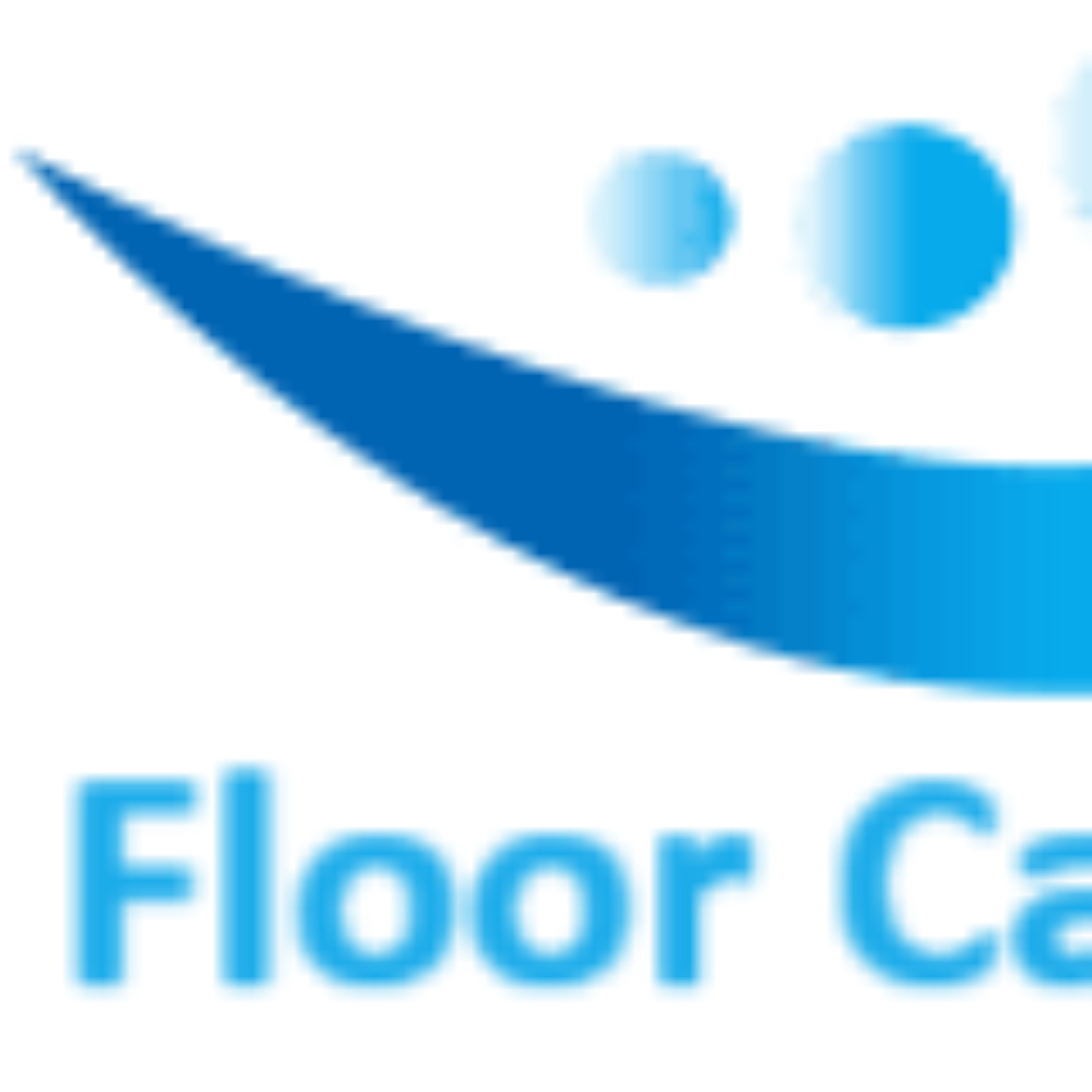 Floor Care Specislists