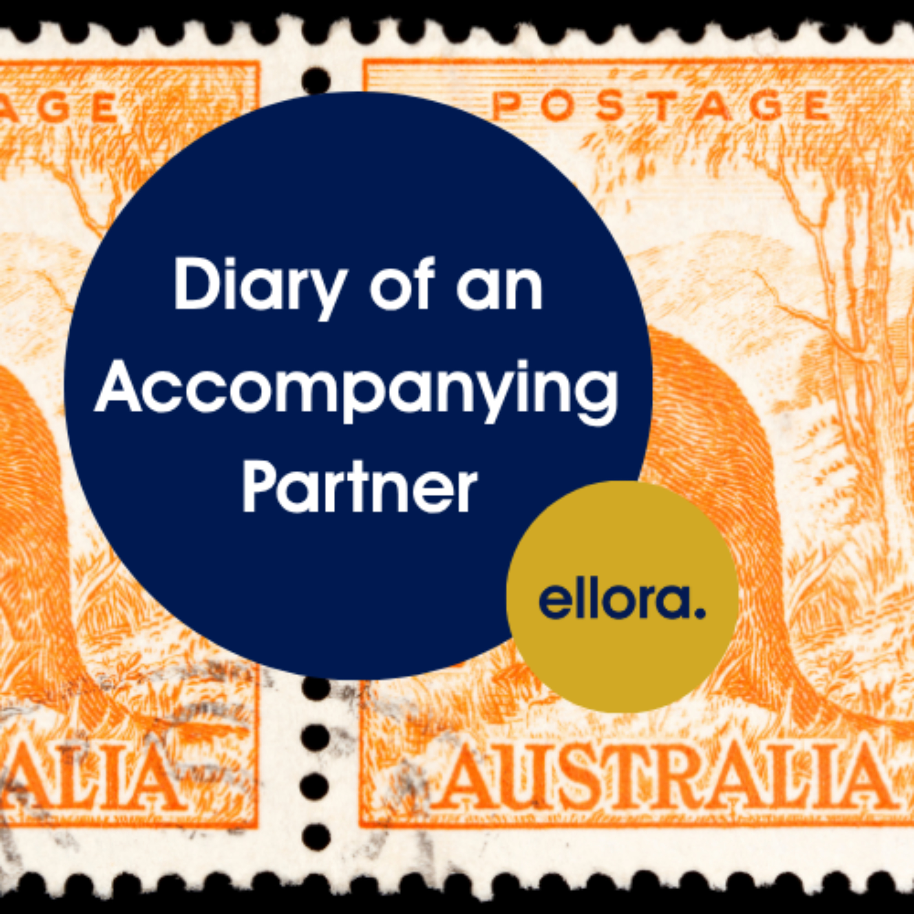 Diary of an accompanying partner