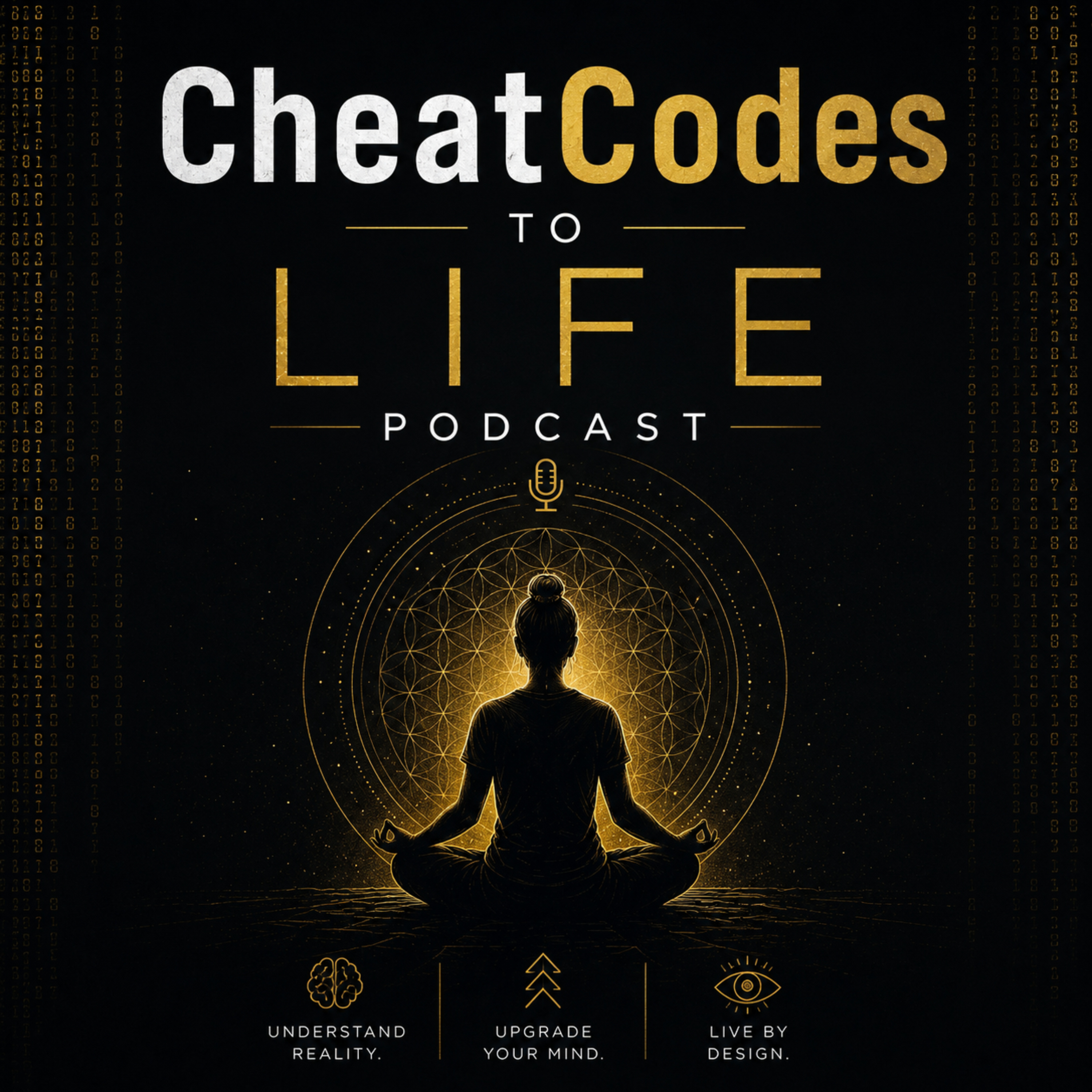 CheatCodes to Life podcast artwork