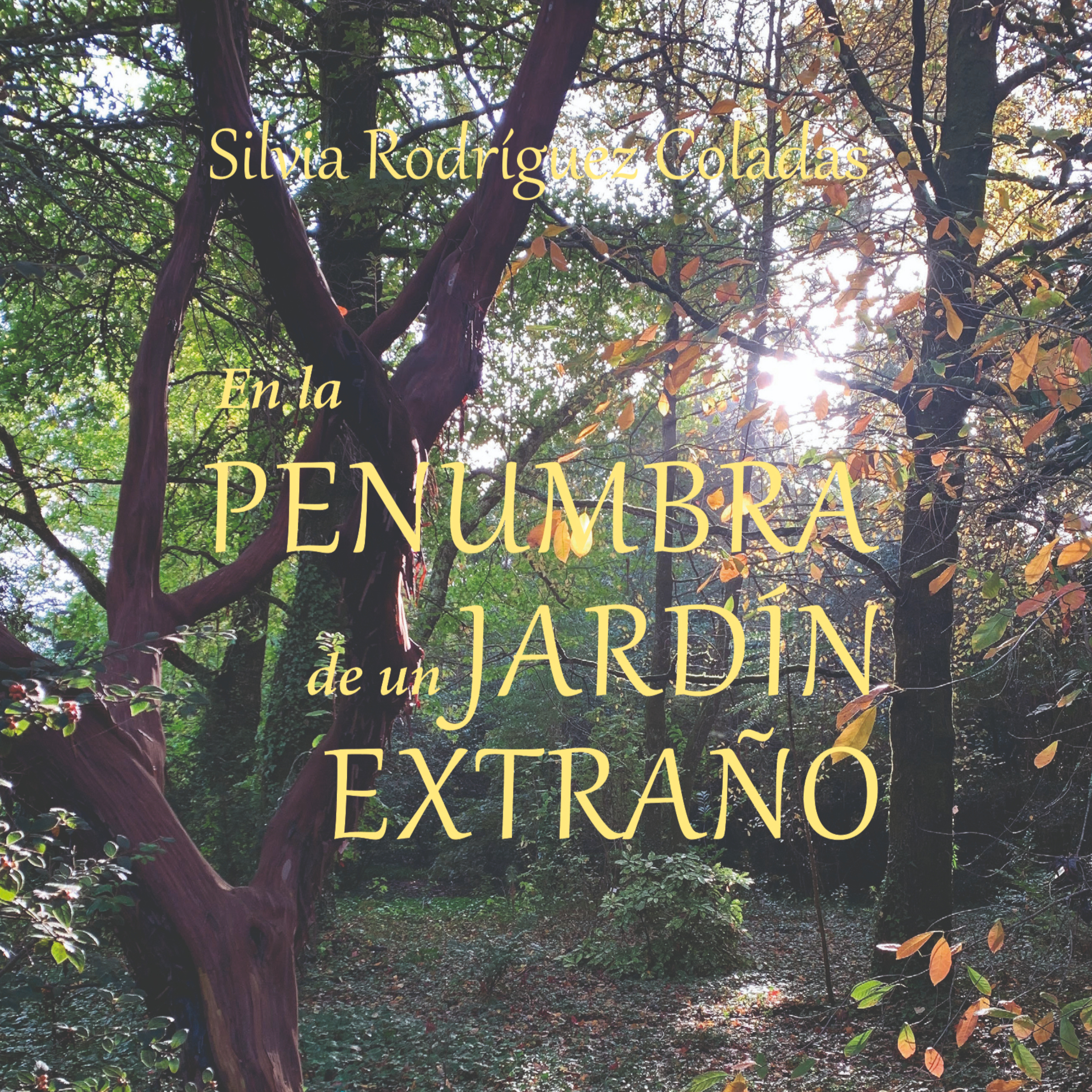 EN LA PENUMBRA DE UN JARDÍN EXTRAÑO