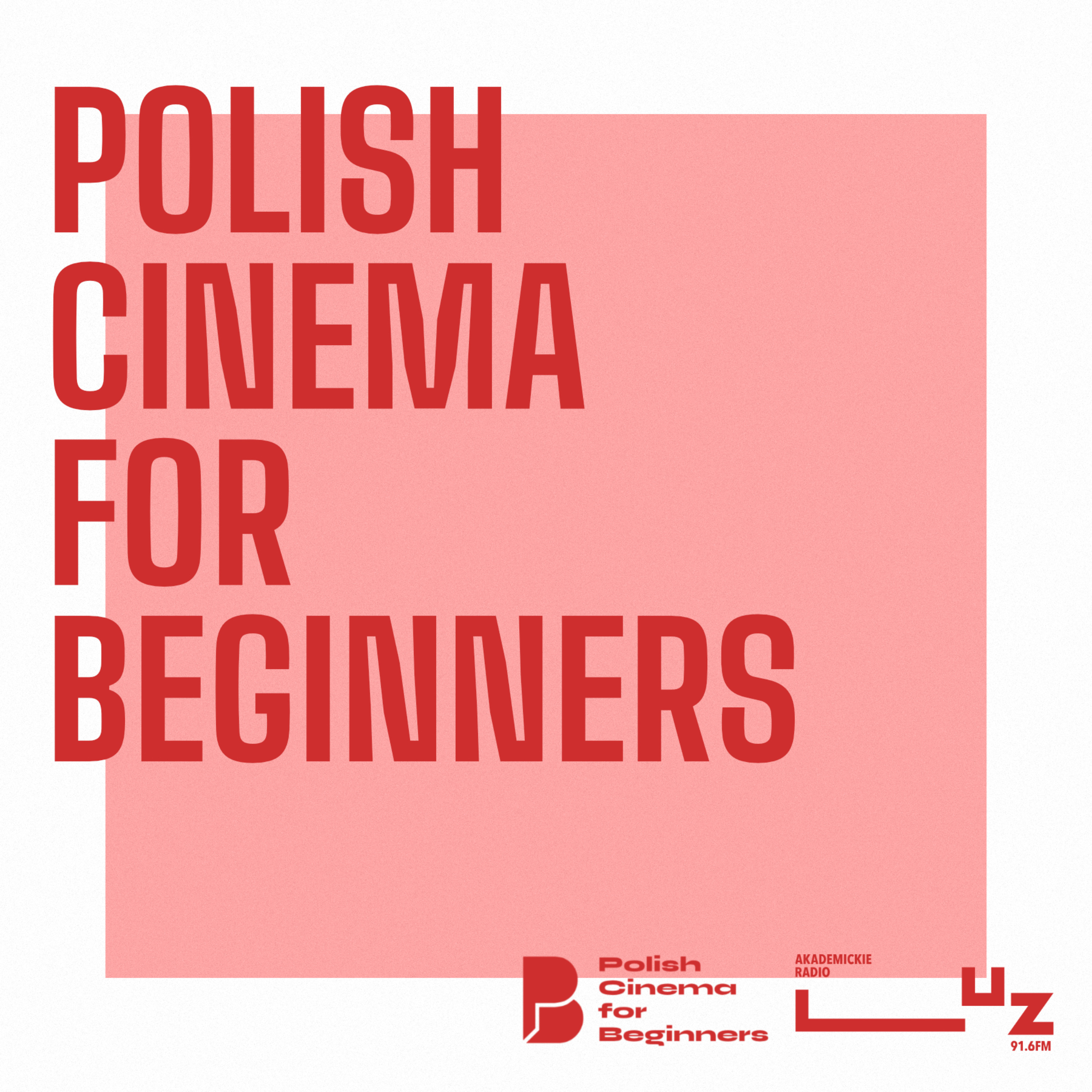 Polish Cinema for Beginners