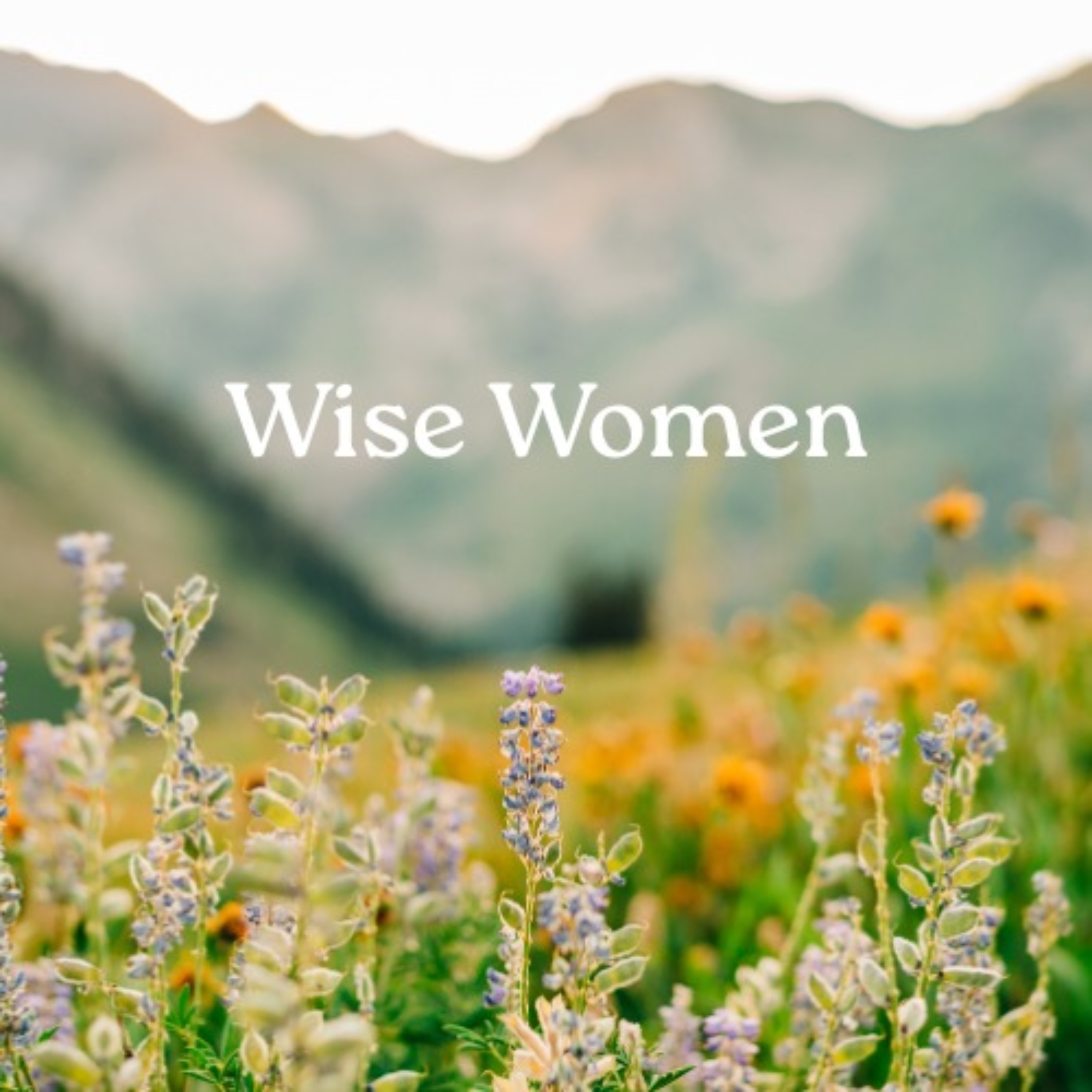 Wise women podcast artwork