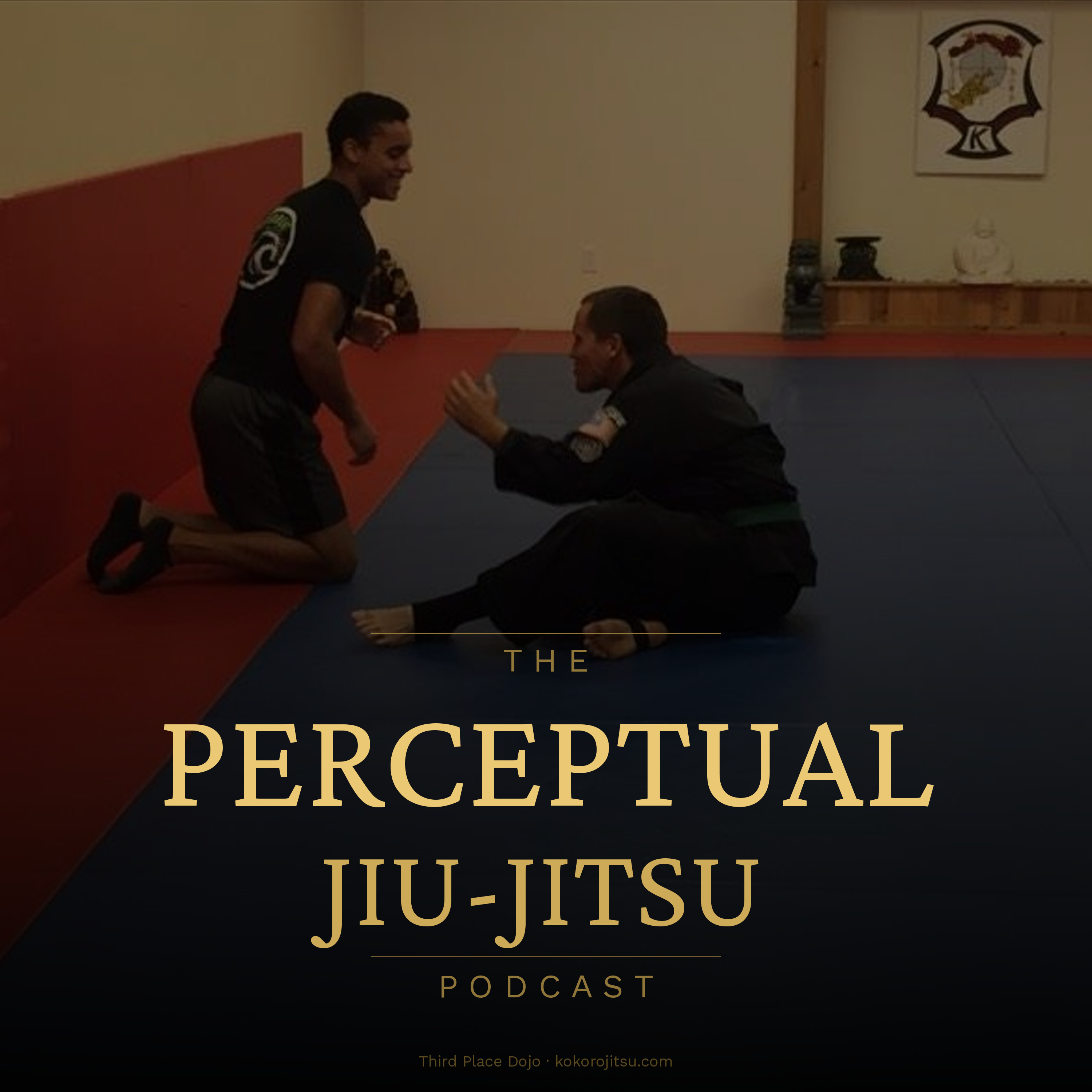 The Perceptual Jiu-Jitsu Podcast