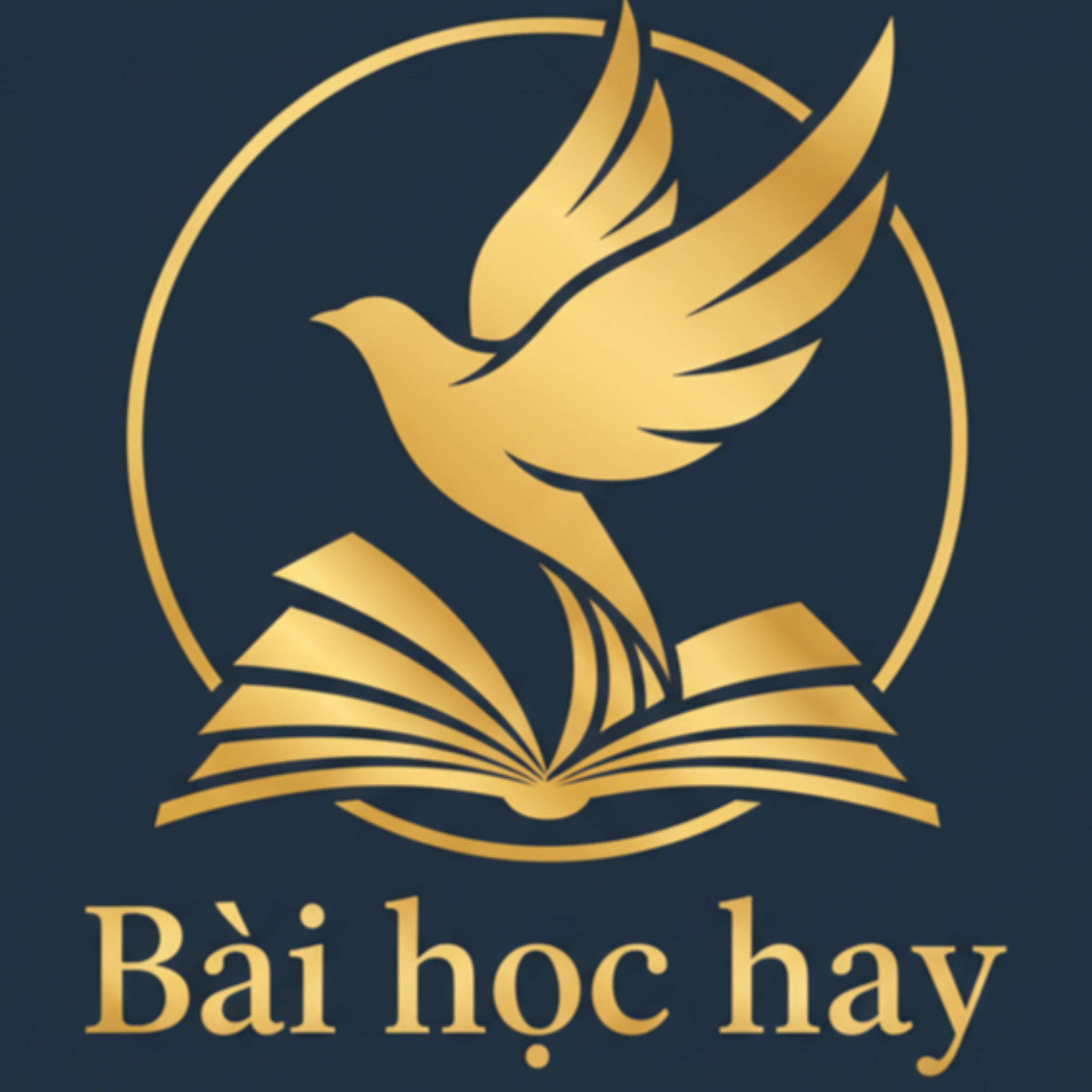 Bài học hay cover
