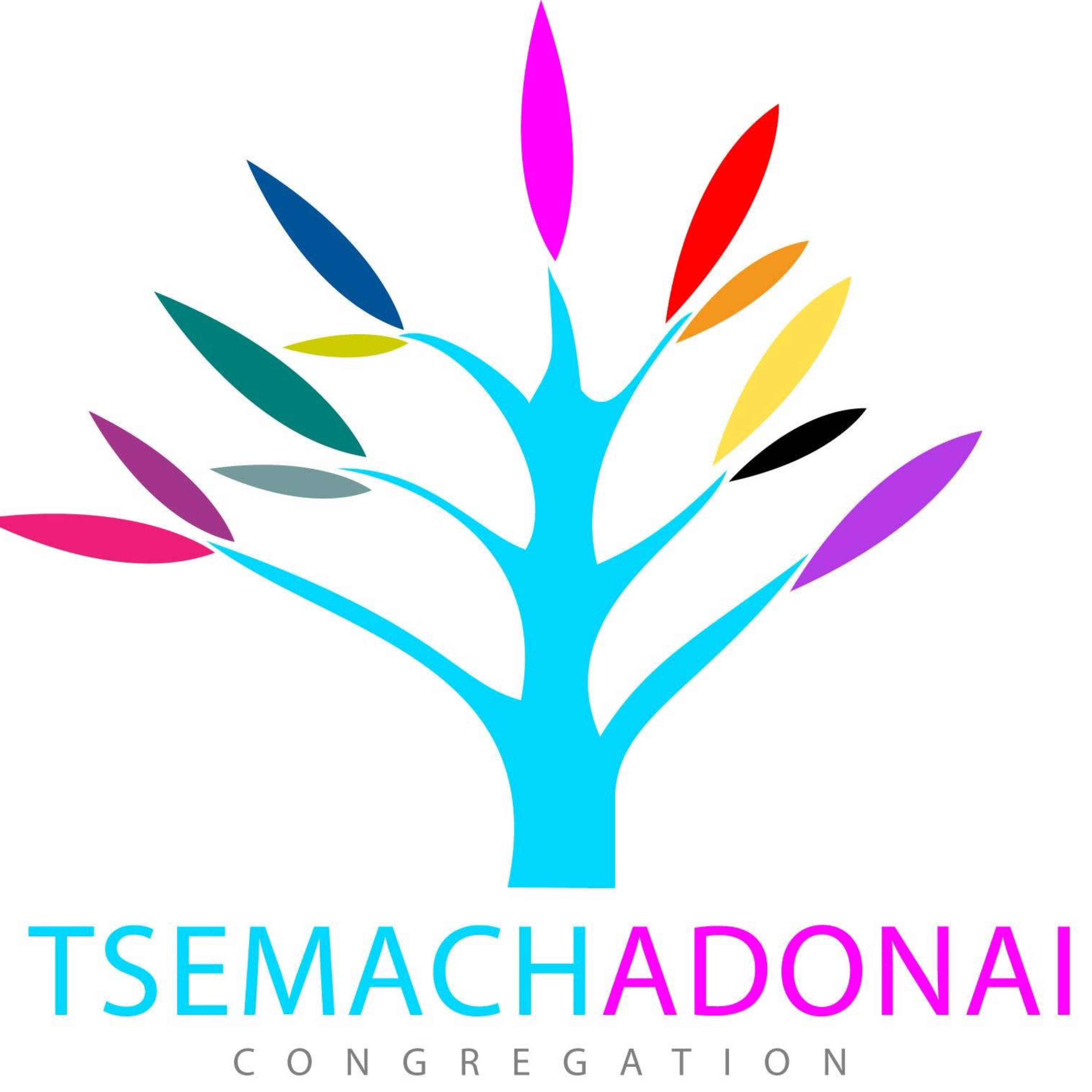 Voice of Tsemach