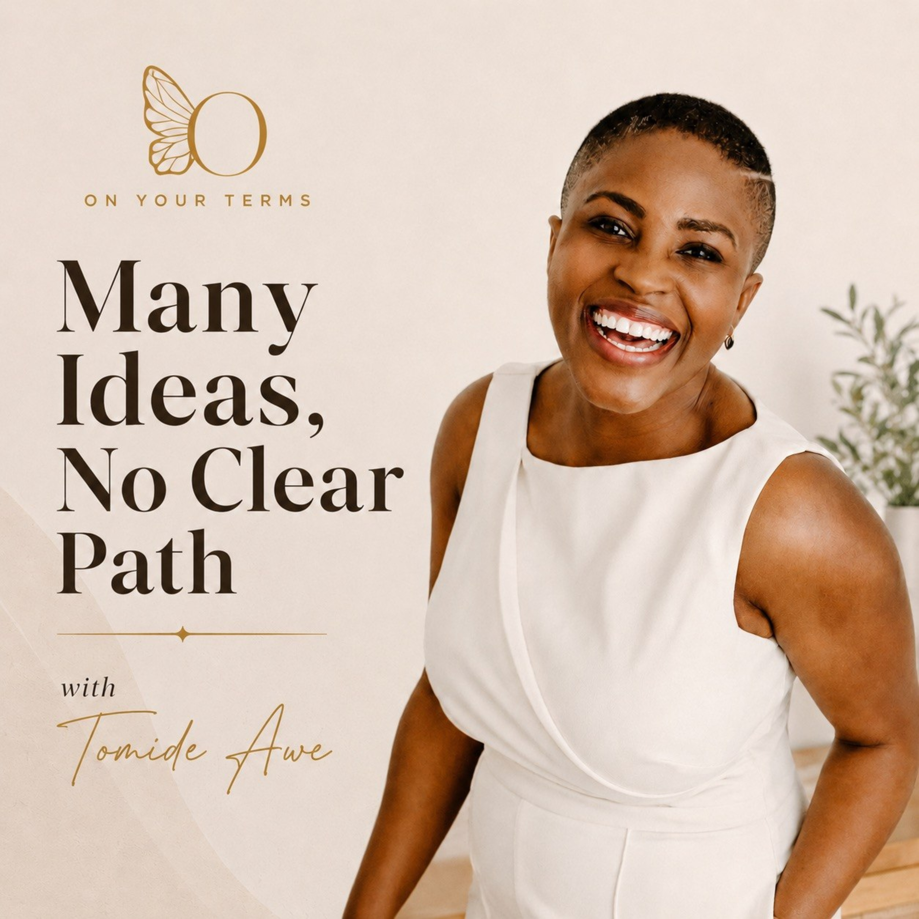 Many Ideas, No Clear Path