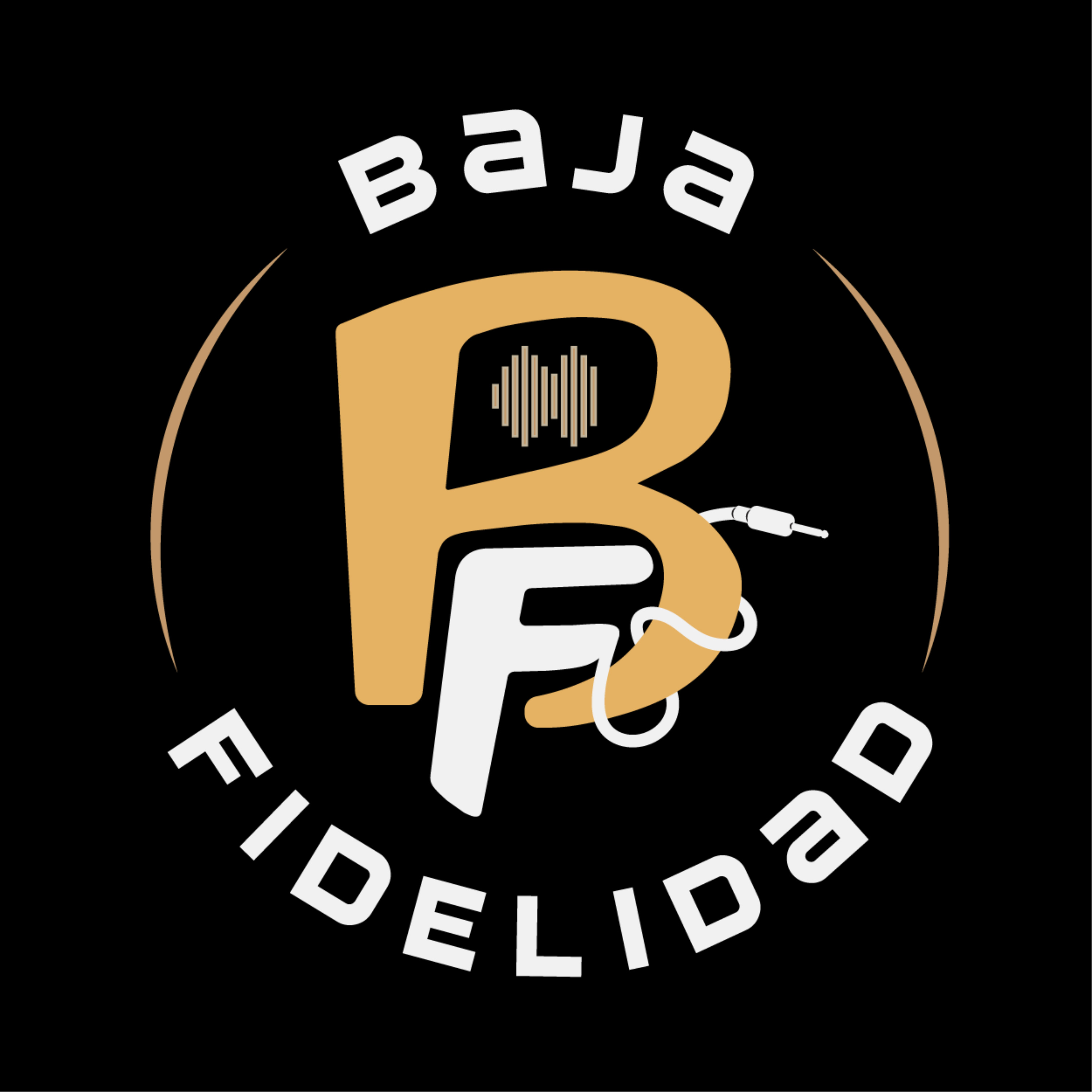 Baja Fidelidad podcast artwork