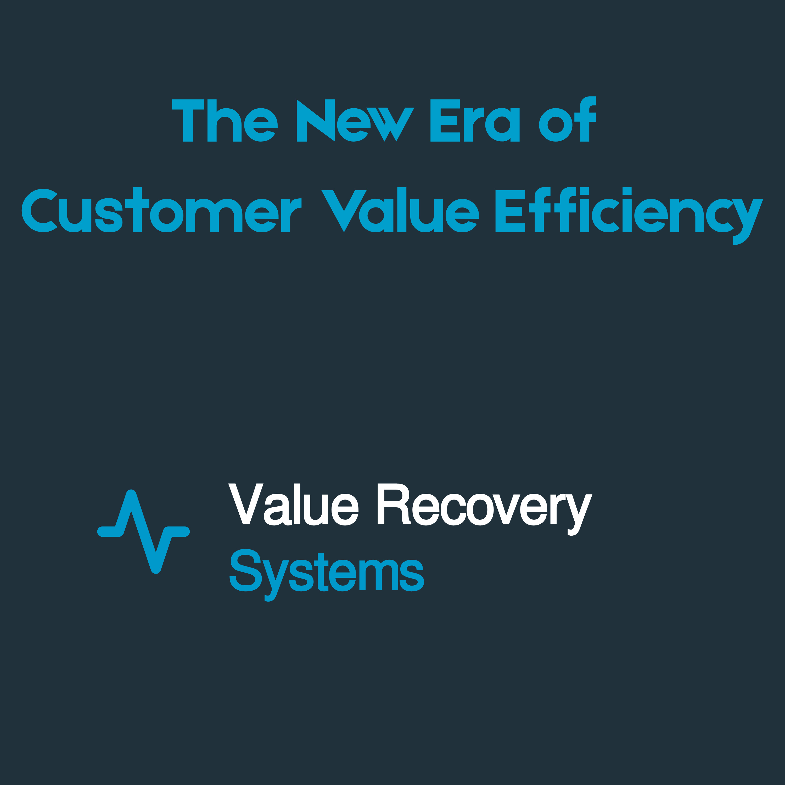 The New Era of Customer Value Efficiency
