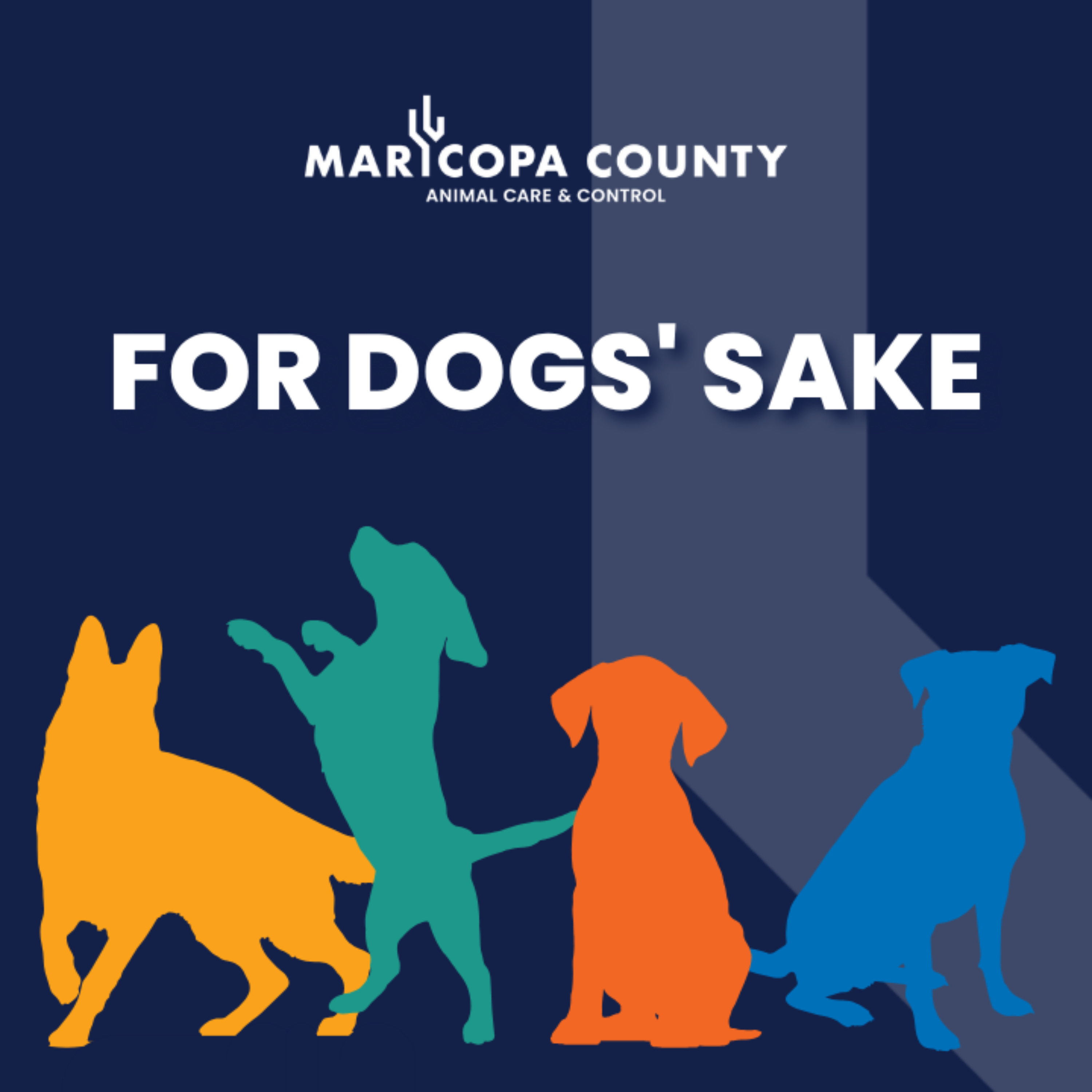 For Dogs' Sake: Maricopa County Animal Care and Control podcast artwork