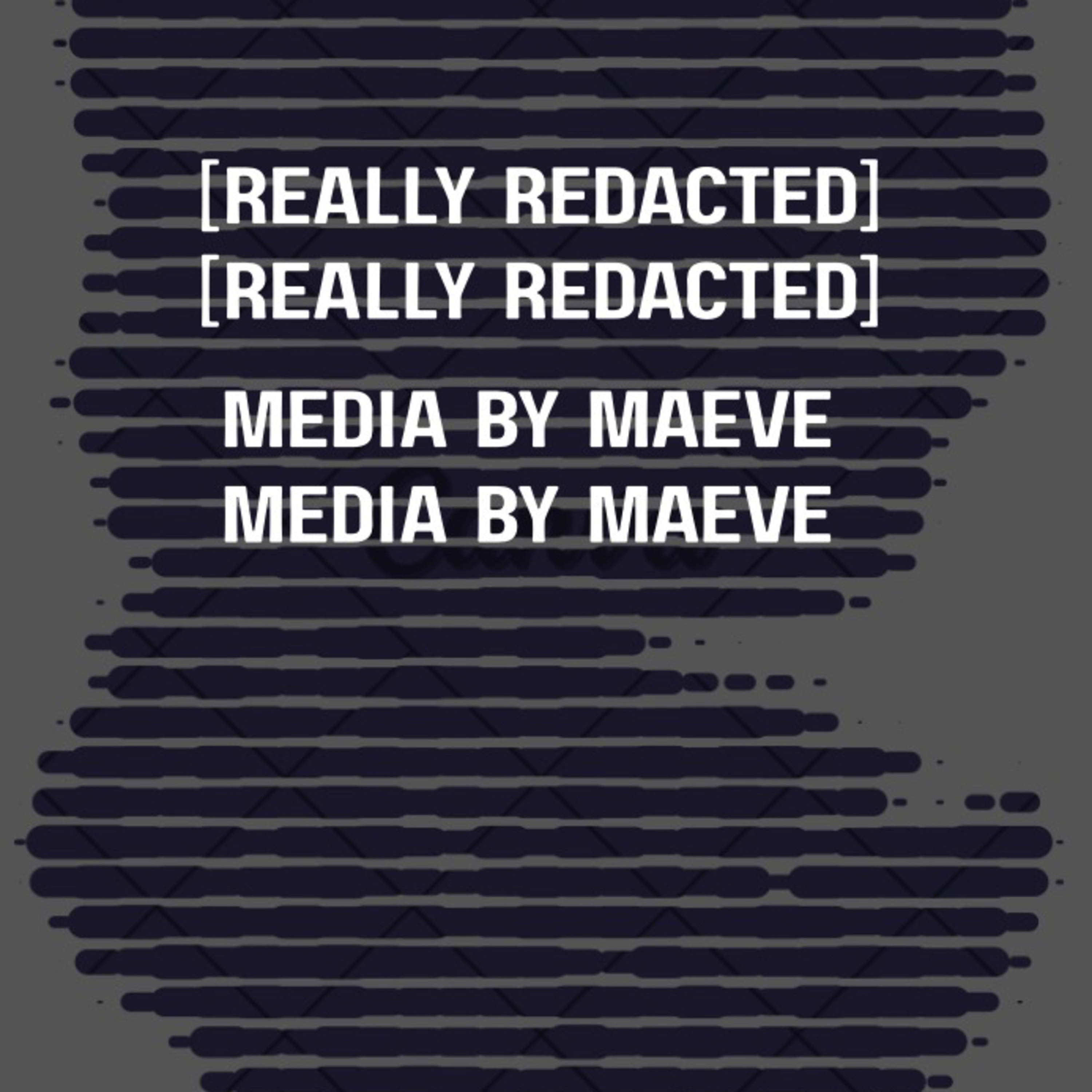REALLY REDACTED