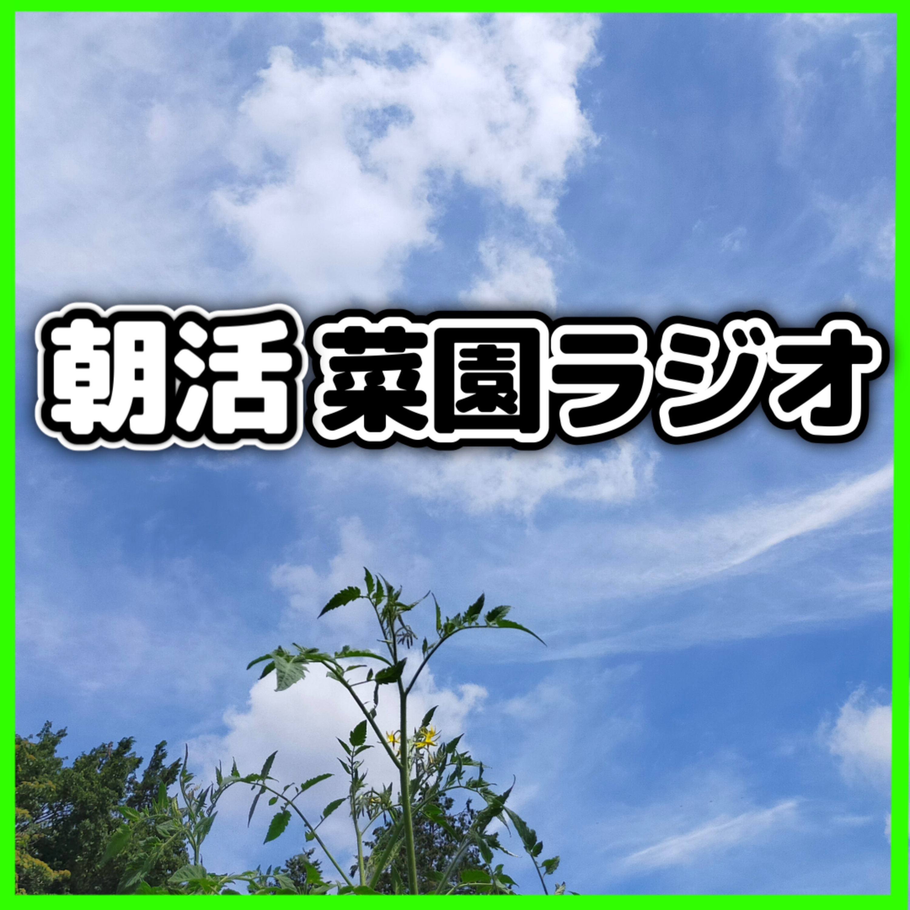 サラリーマンの朝活菜園ラジオ