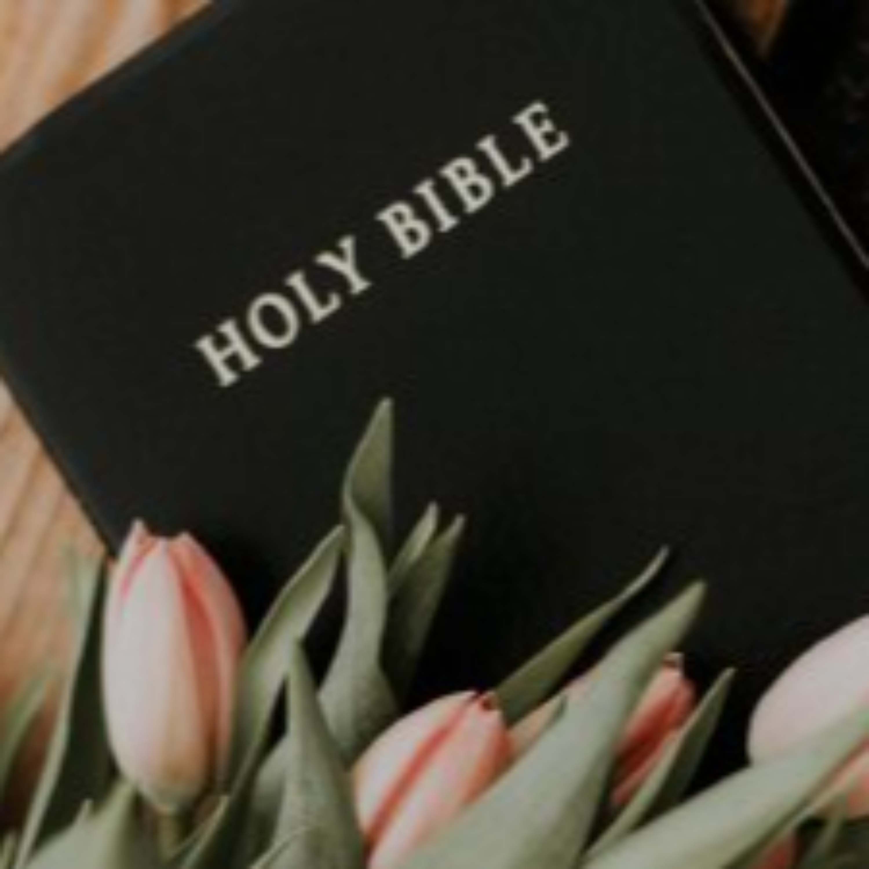 CVC Sermons