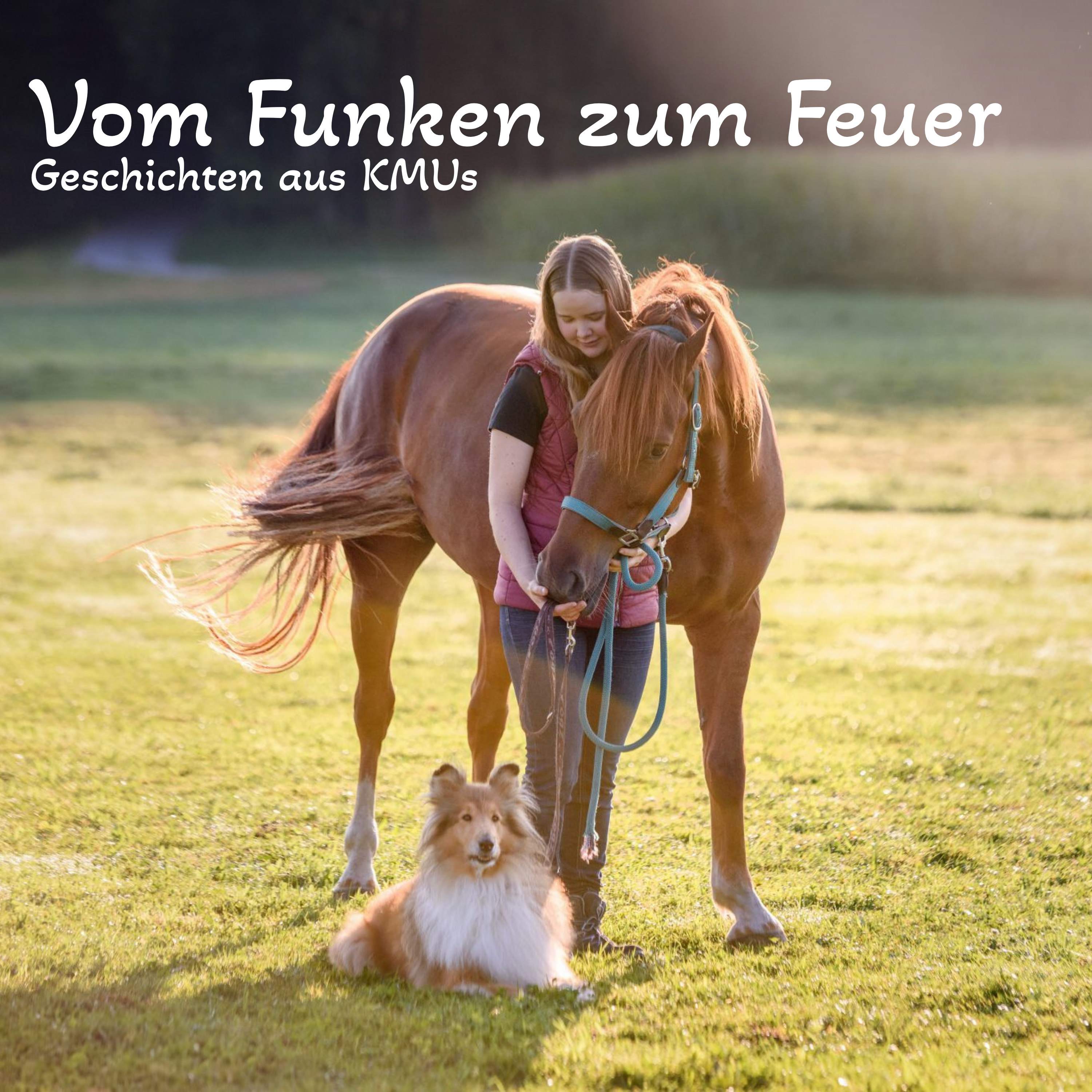 Vom Funken zum Feuer podcast artwork