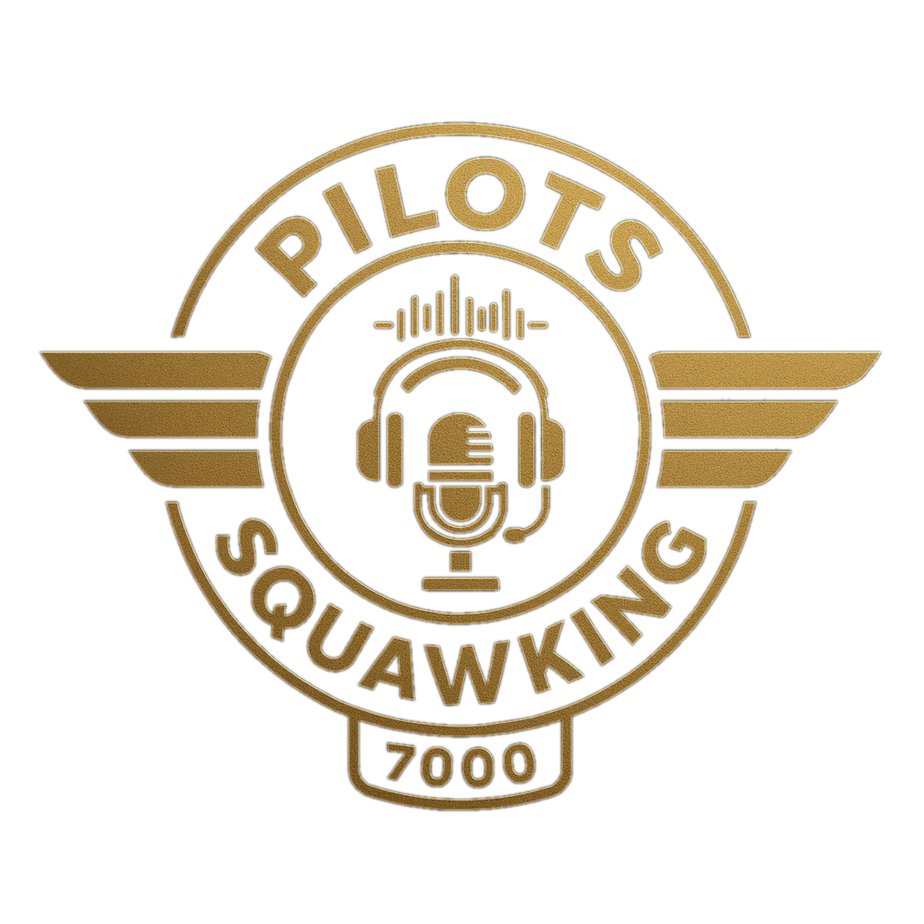 Pilots Squawking