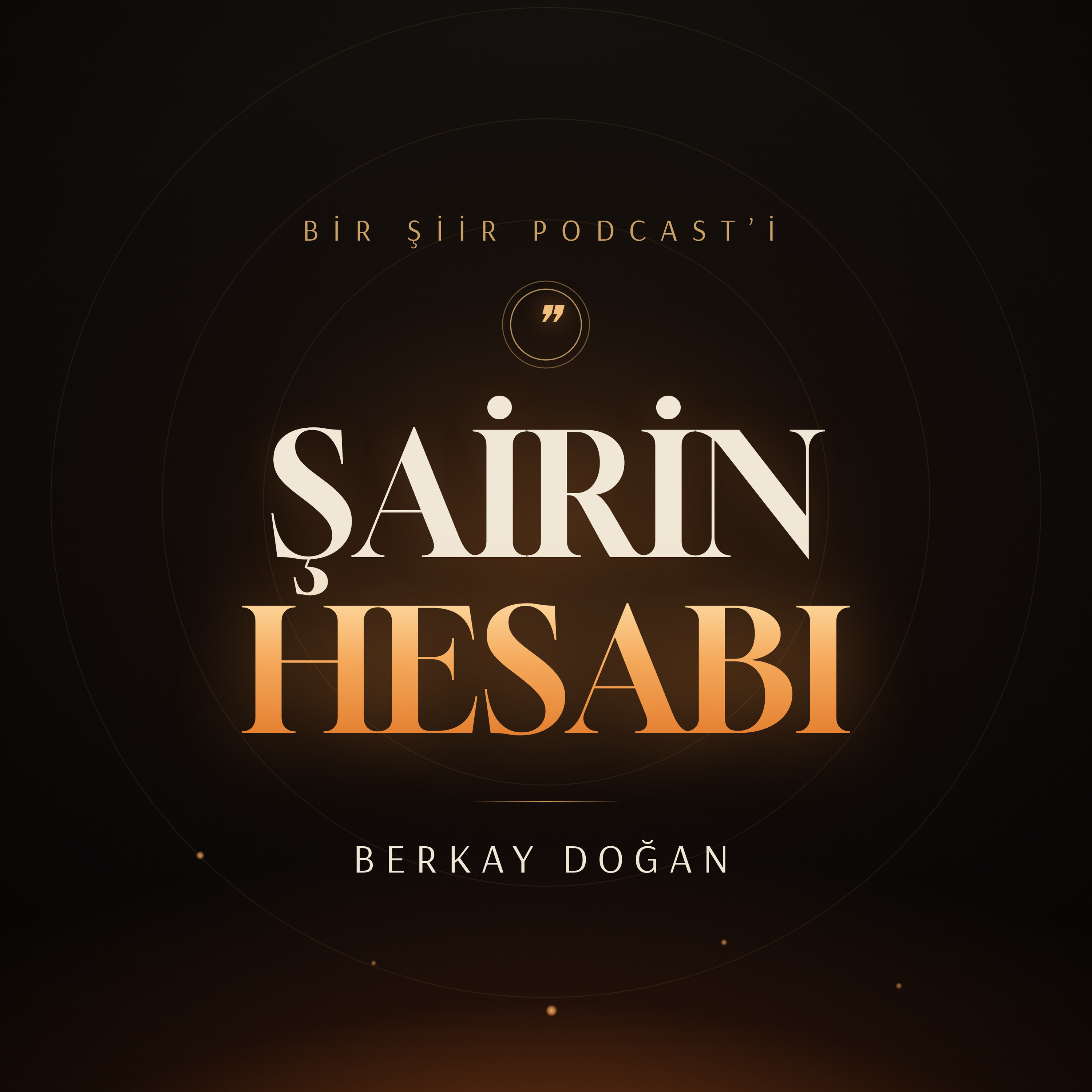 Şairin Hesabı cover