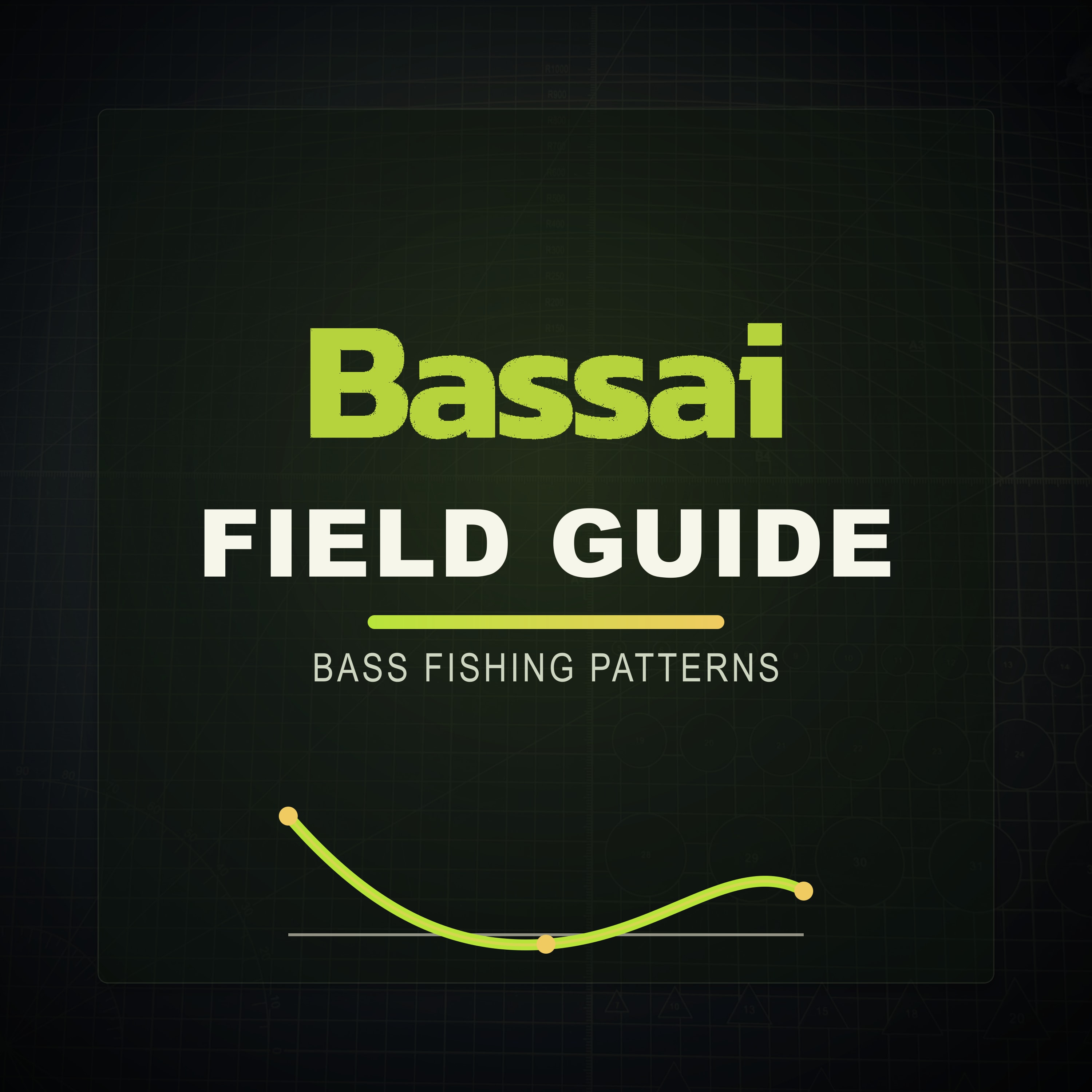 Bassai Field Guide