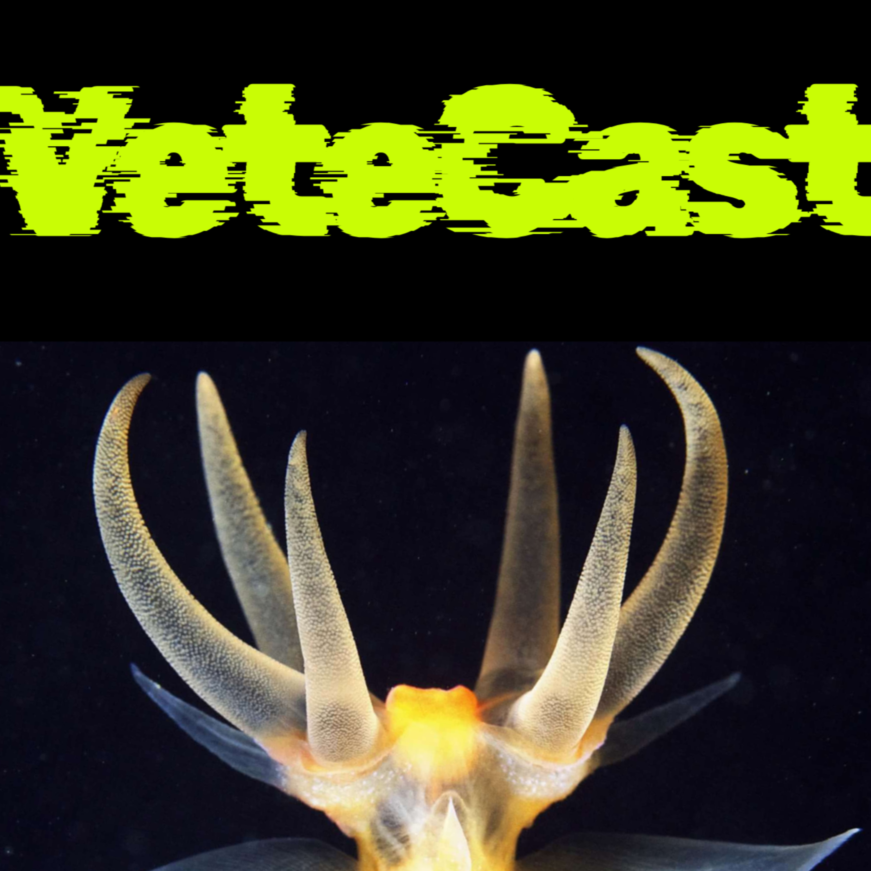 VeteCast