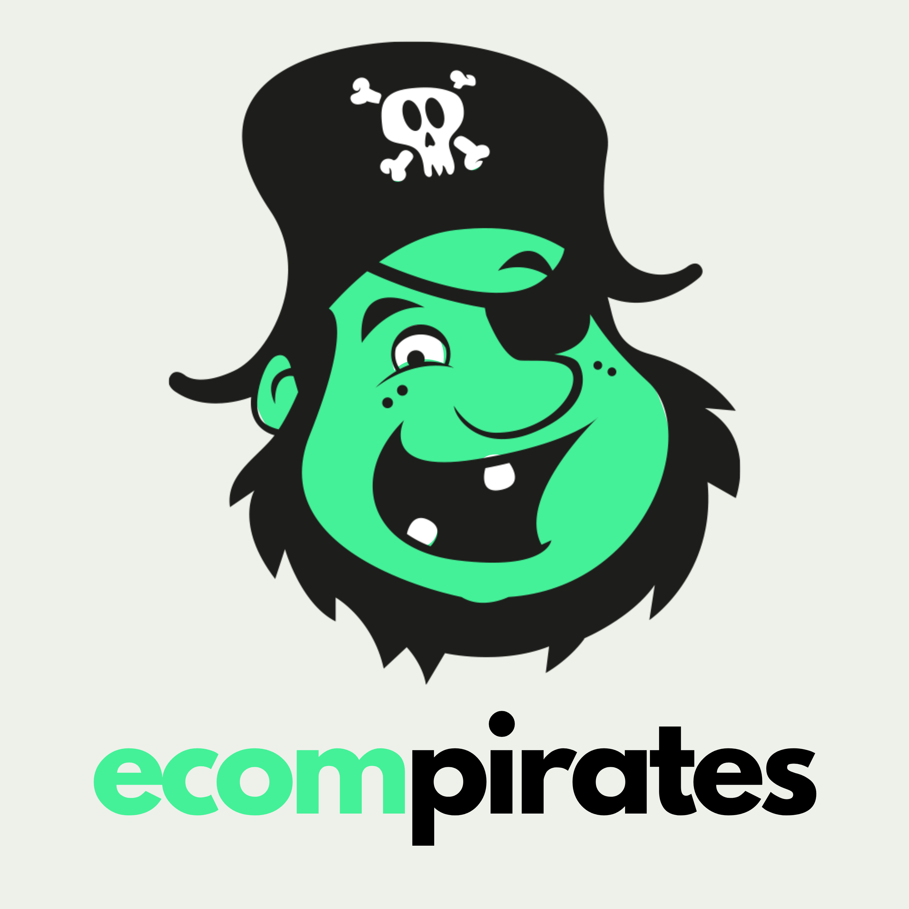 Ecom Pirates: The B2B Briefing