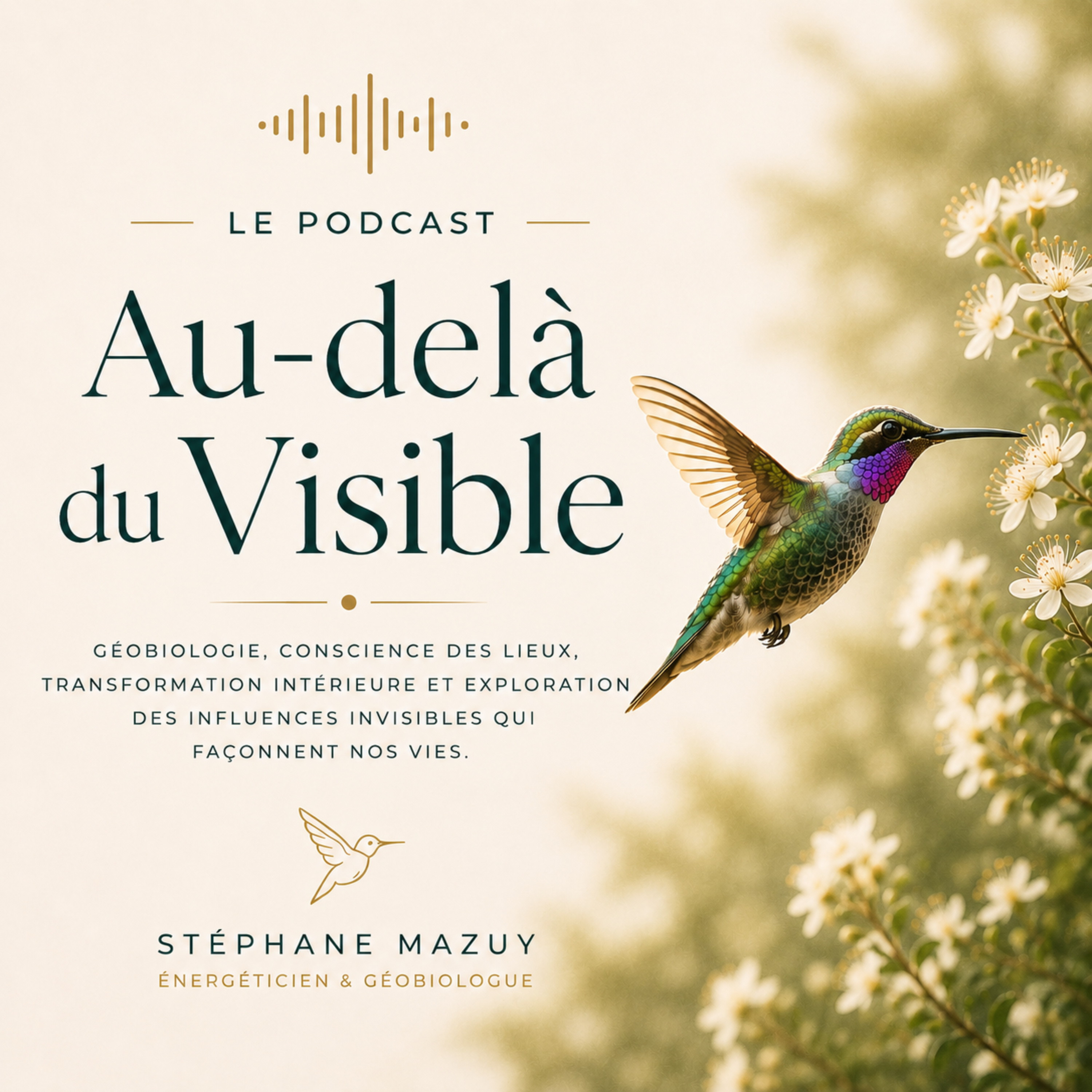 Au-delà du Visible