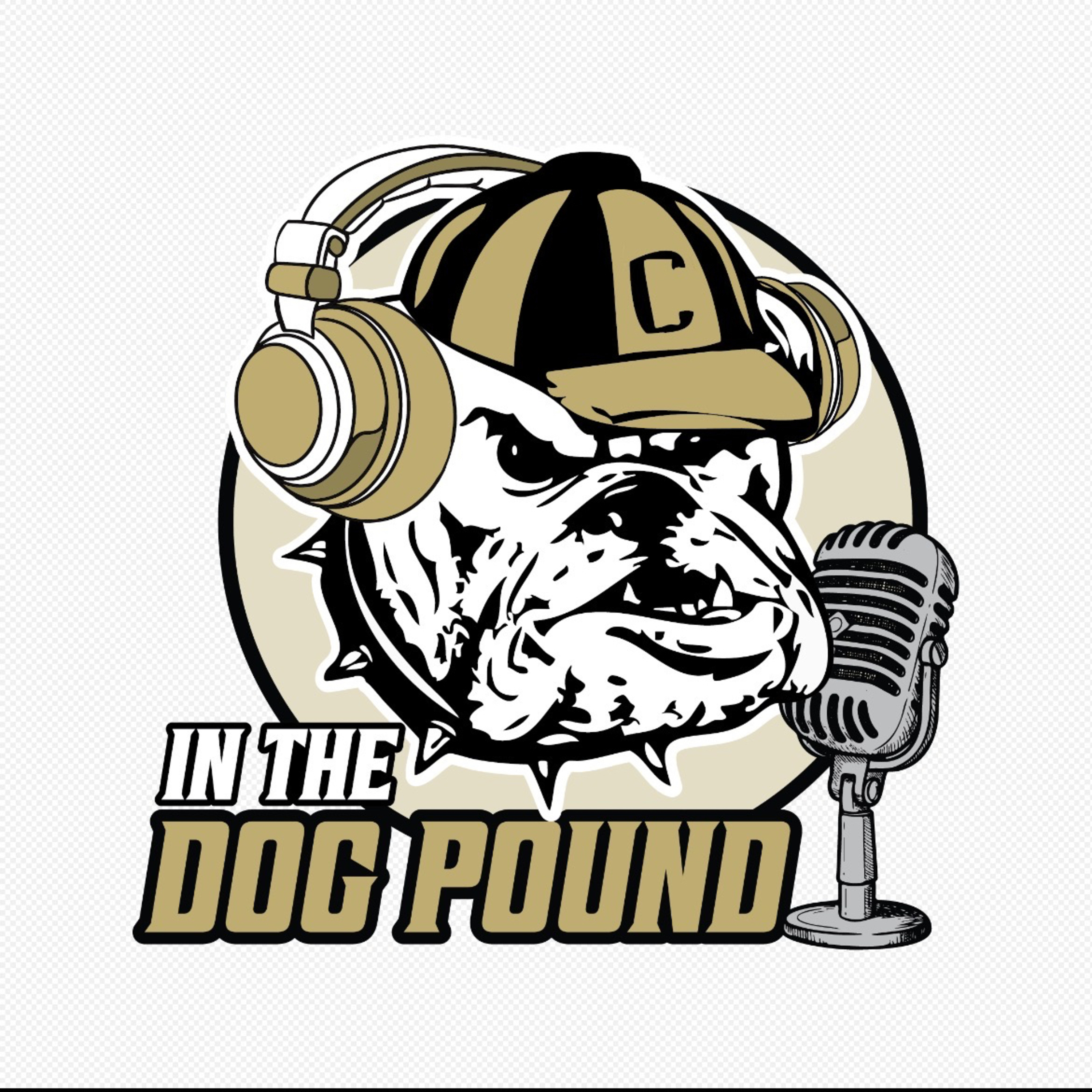 In The Dog Pound