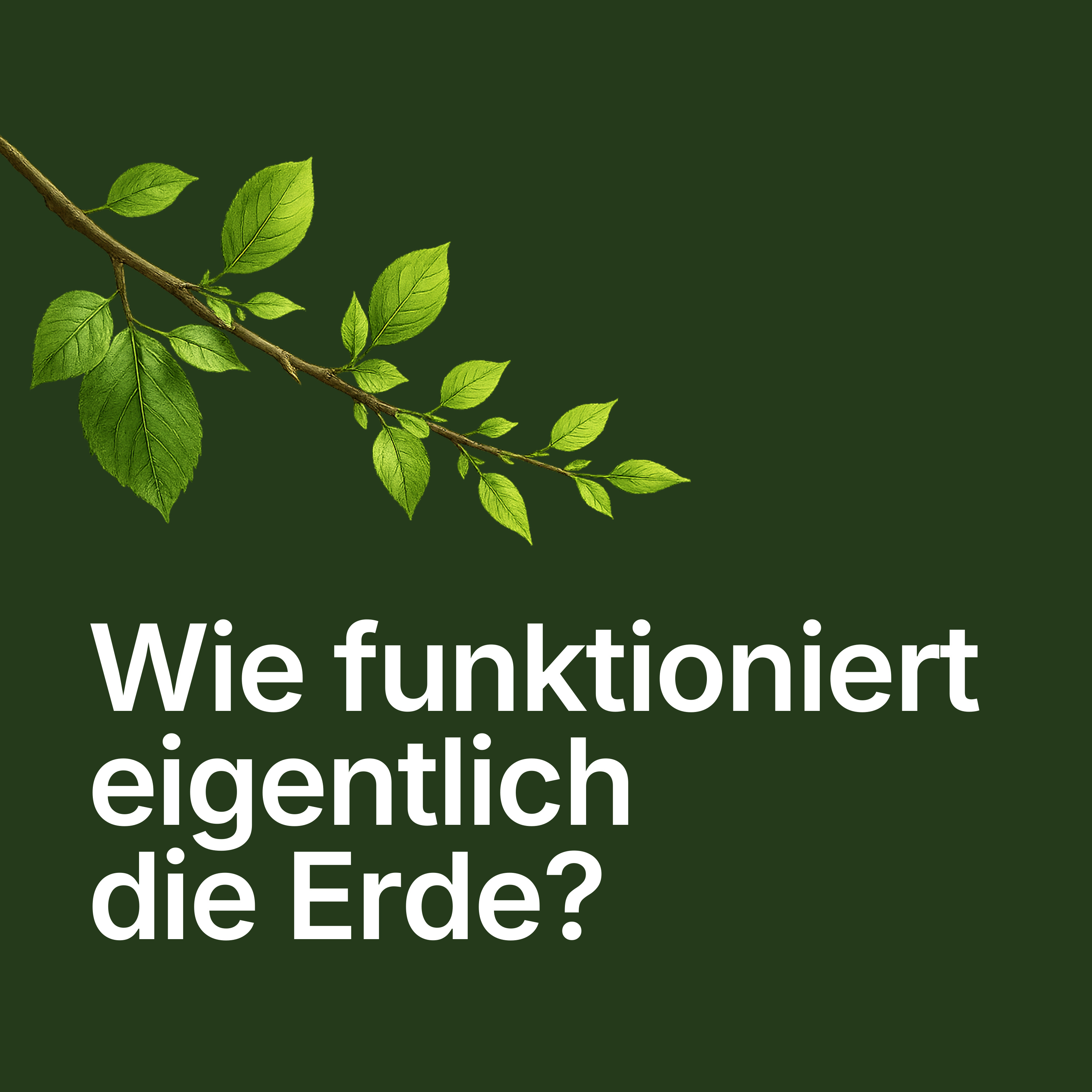 Wie funktioniert eigentlich die Erde? podcast artwork